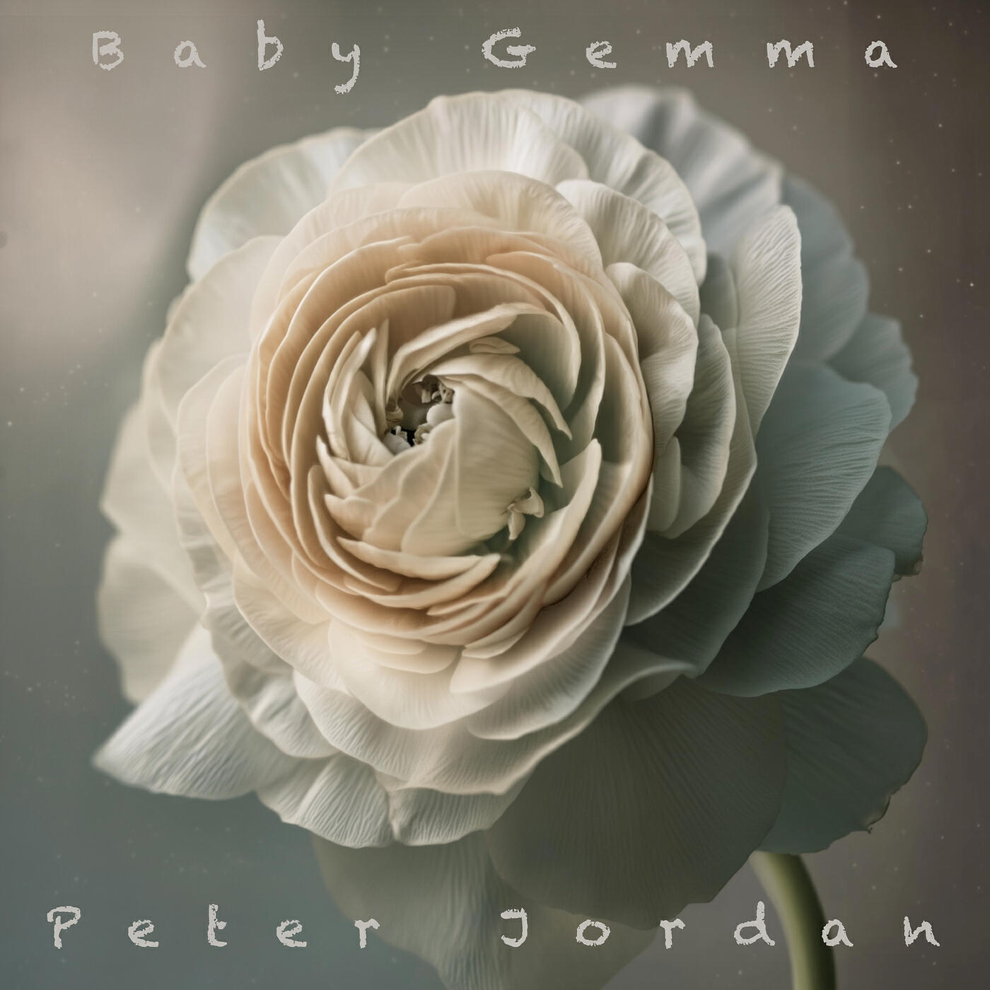 Peter Jordan