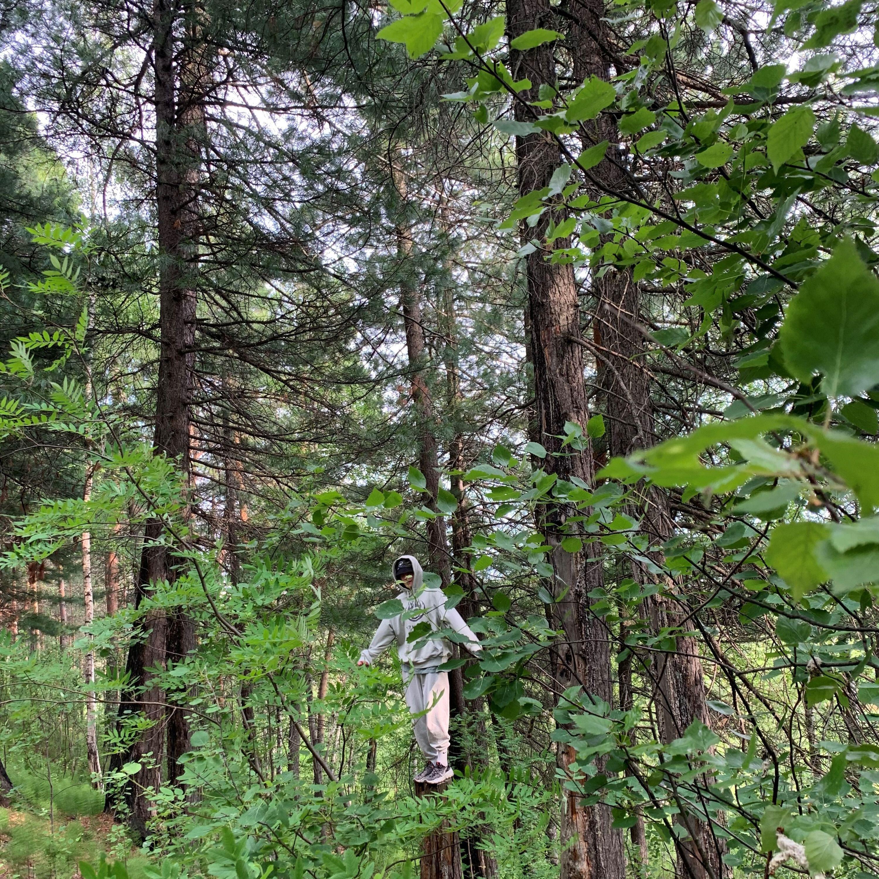 Релиз Green