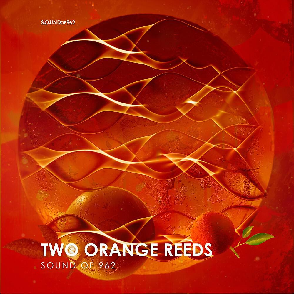 Релиз Two Orange Reeds
