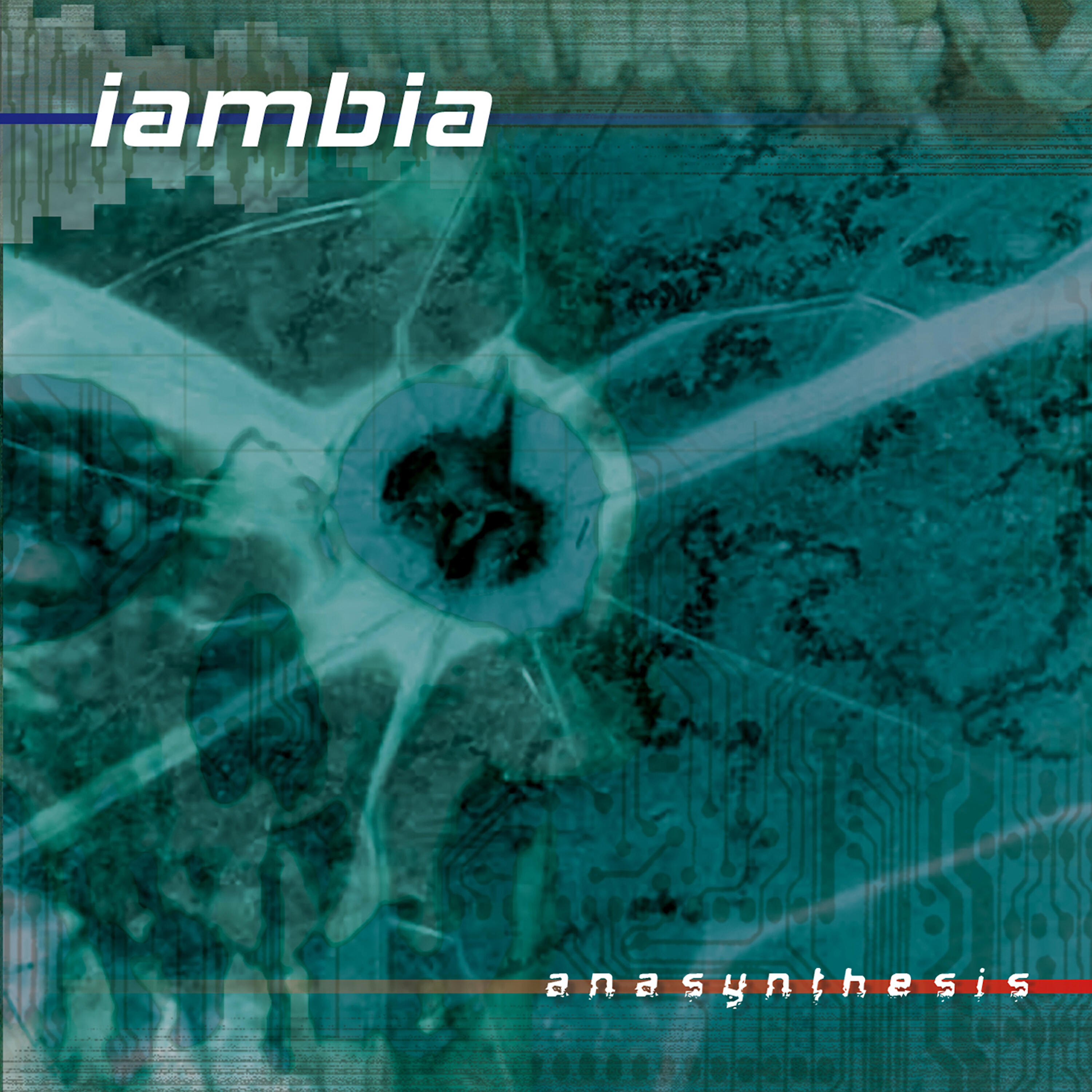Релиз Anasynthesis