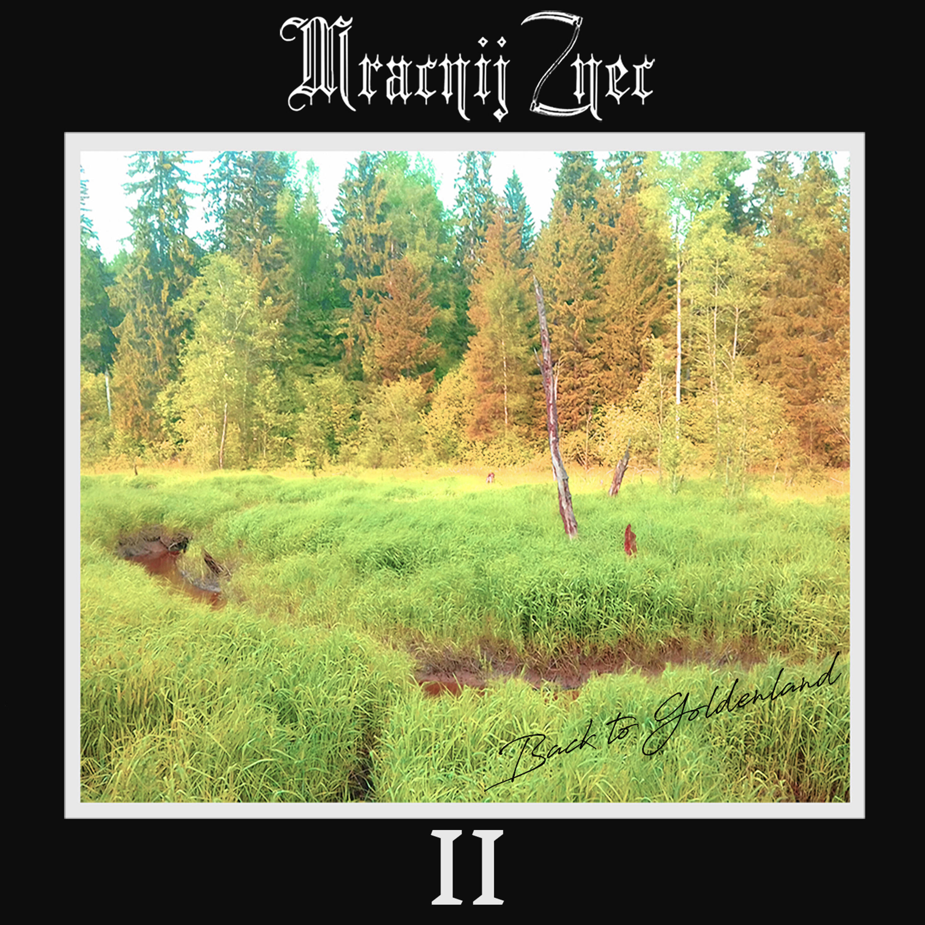 Релиз II: Back to Goldenland