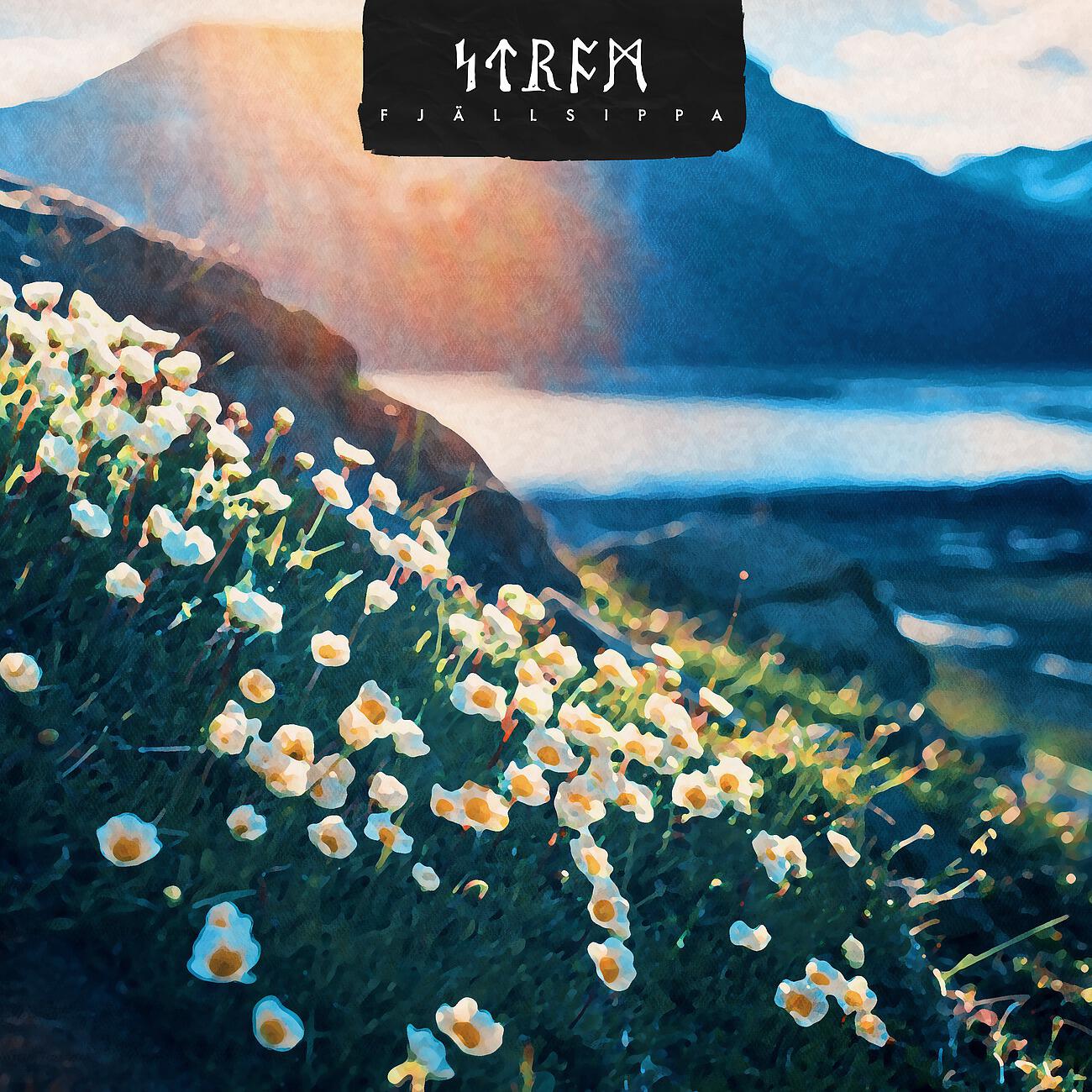 Трек Fjällsippa