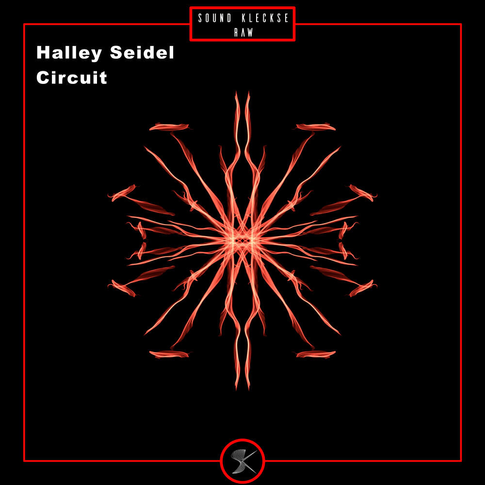 Постер альбома Circuit