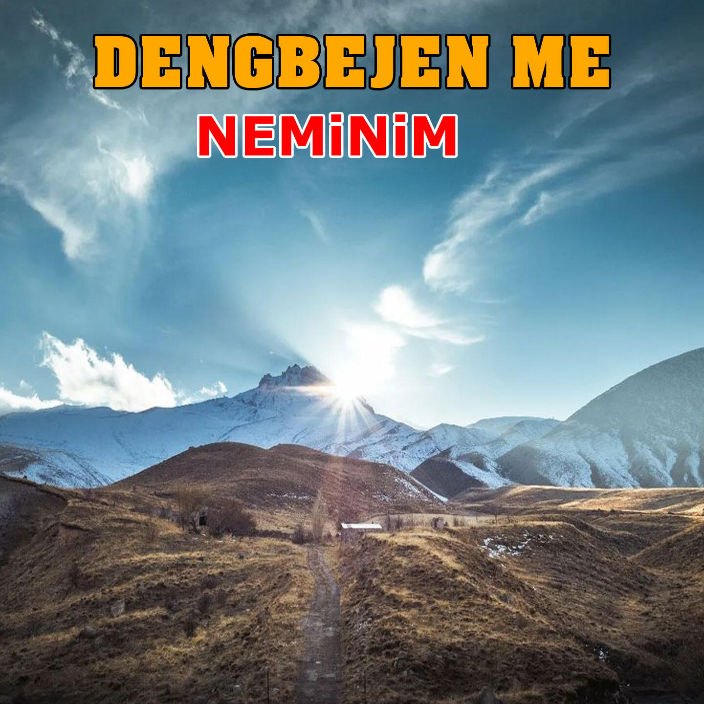 Релиз Neminim