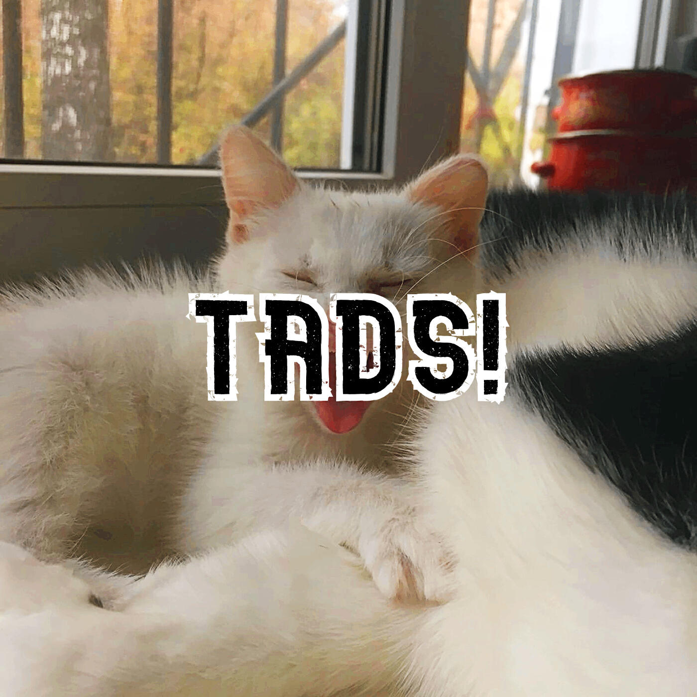 Релиз Tads!