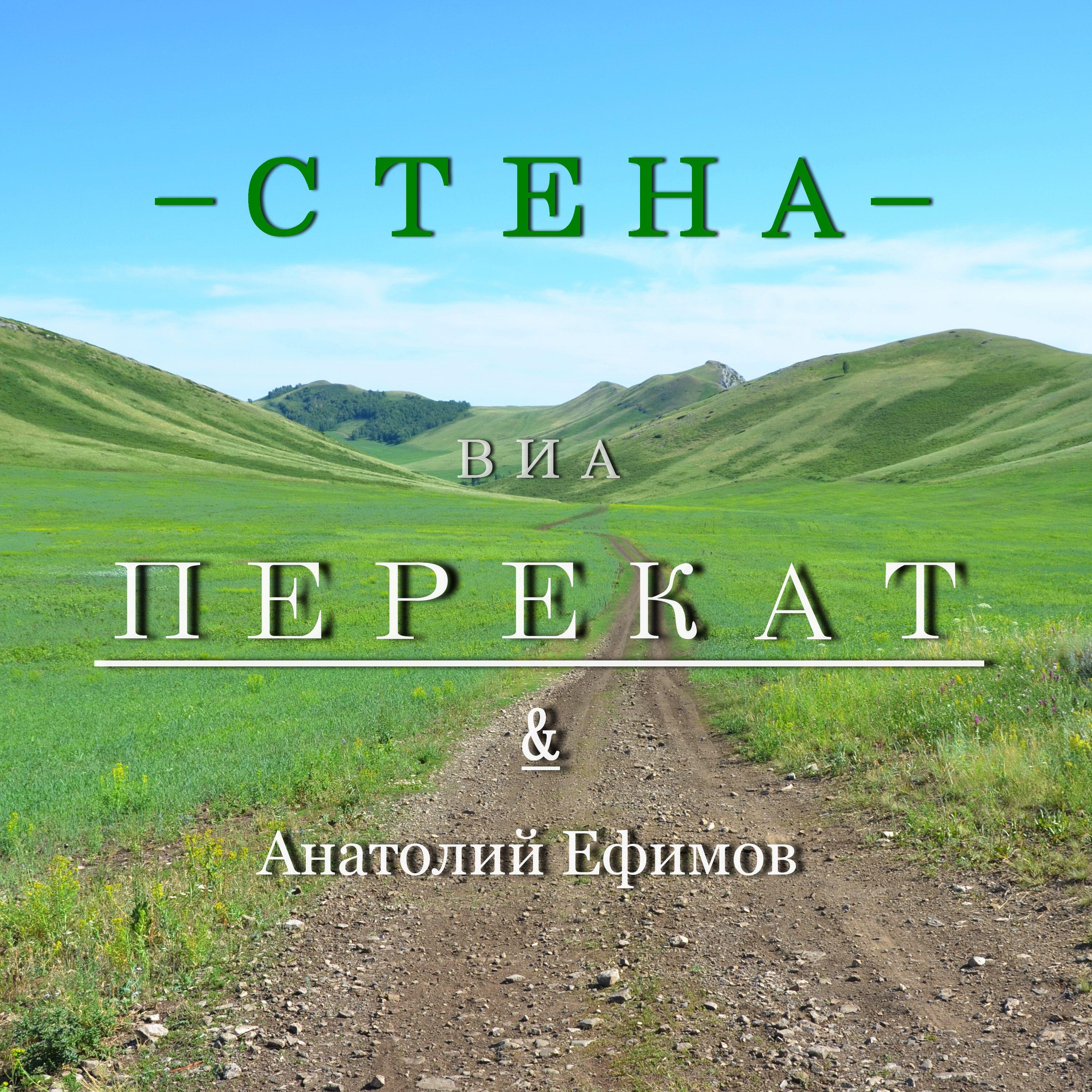 Анатолий Ефимов