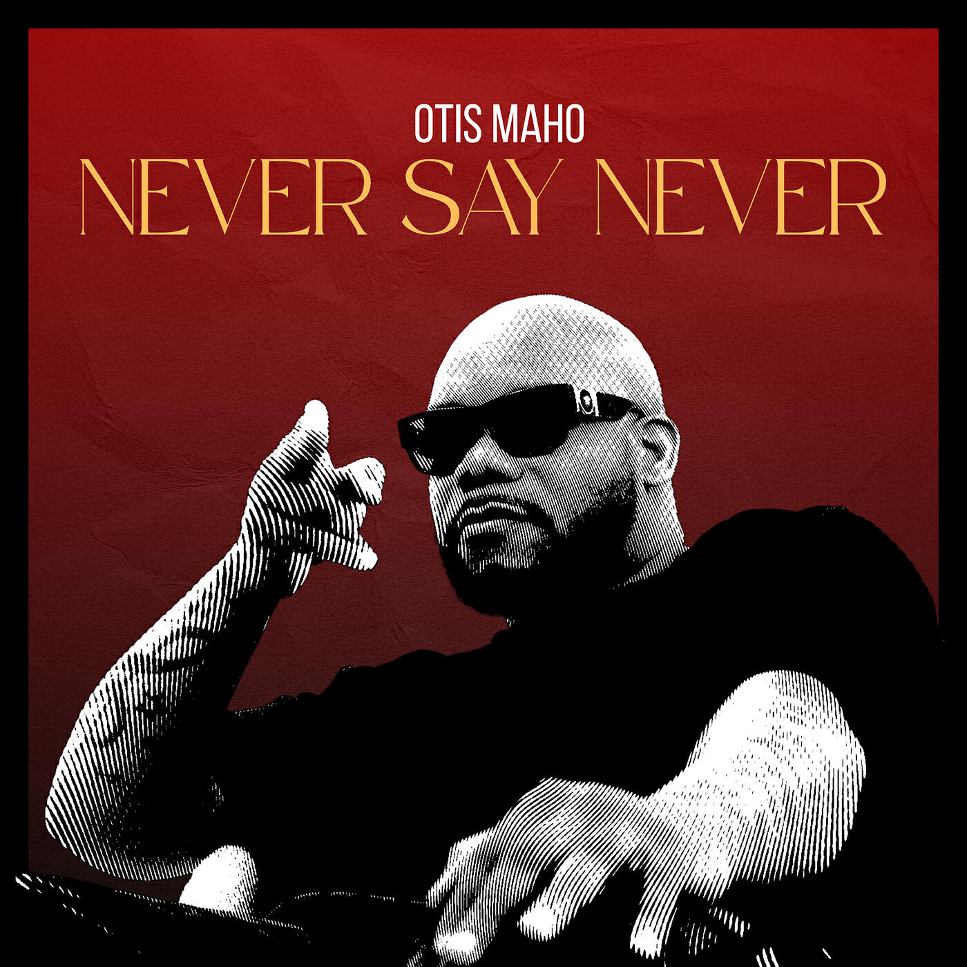 Релиз Never Say Never