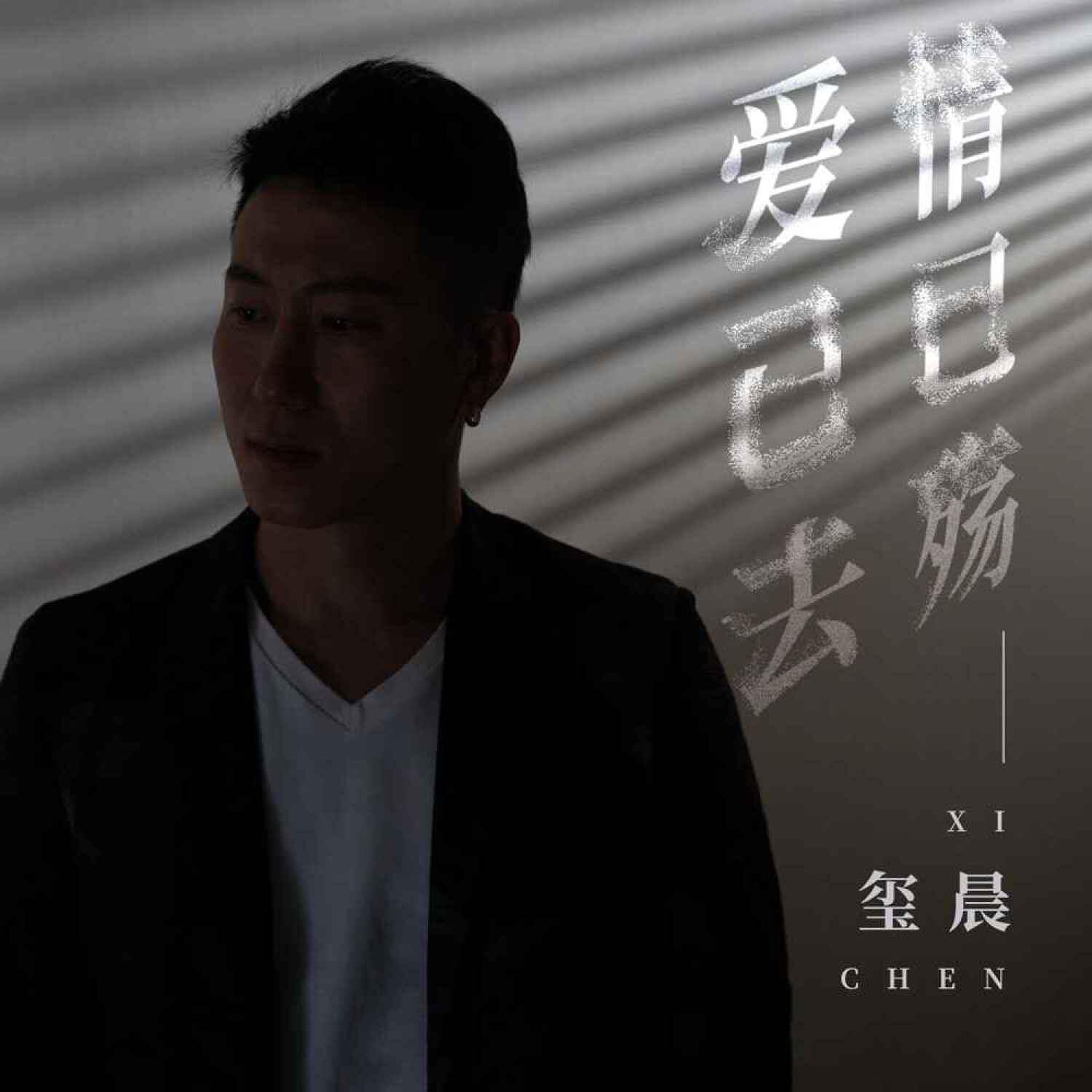 Релиз 爱已去情已殇