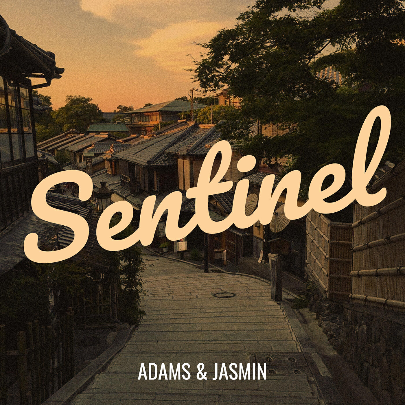 Постер альбома Sentinel