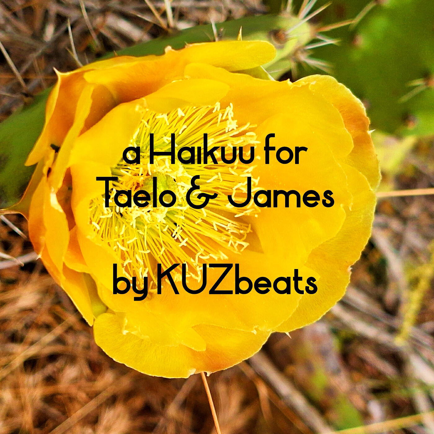 Релиз A Haikuu for Taelo & James