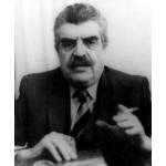 Yan Frenkel