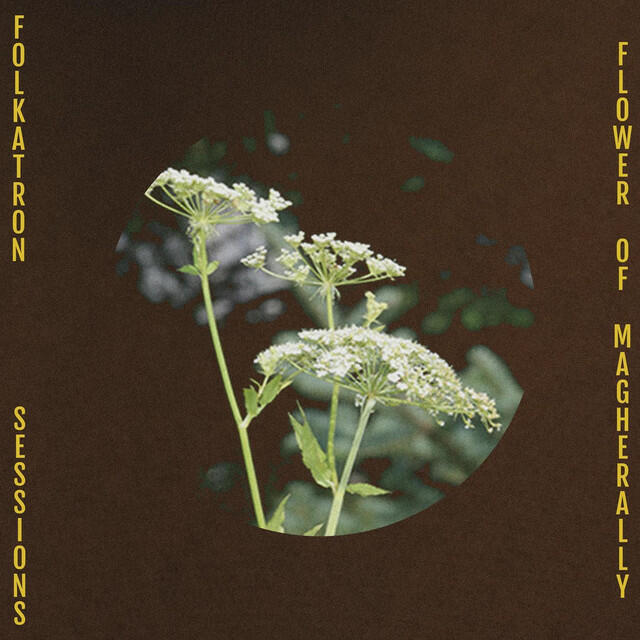 Folkatron Sessions