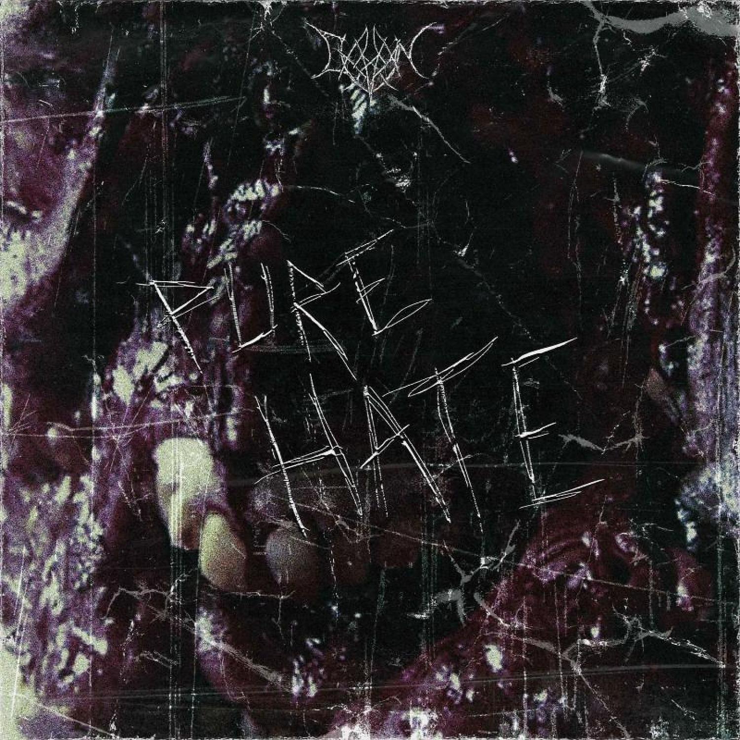 Релиз Pure Hate