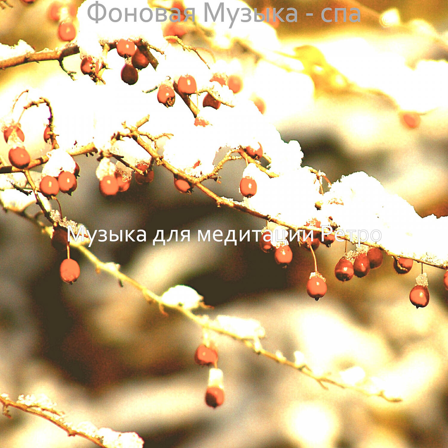 Постер альбома Фоновая Музыка - спа