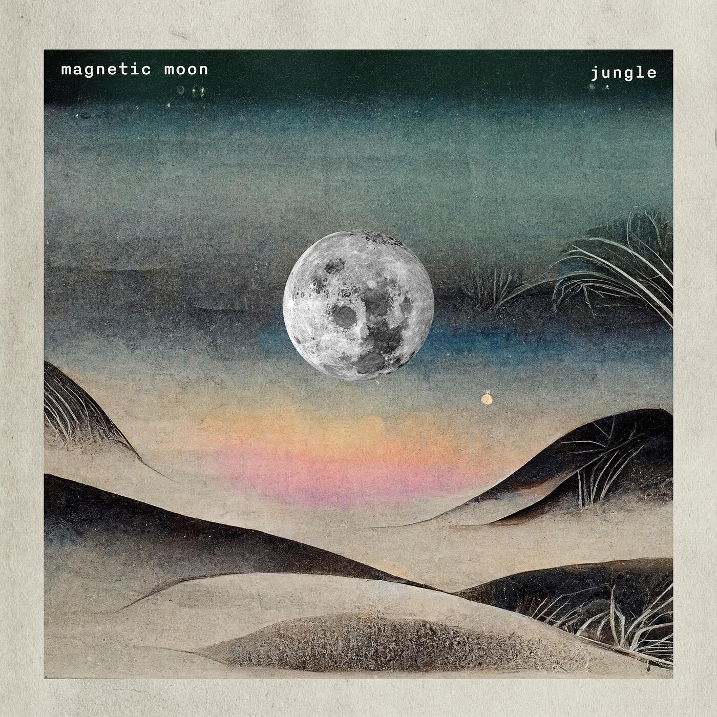 Релиз Jungle