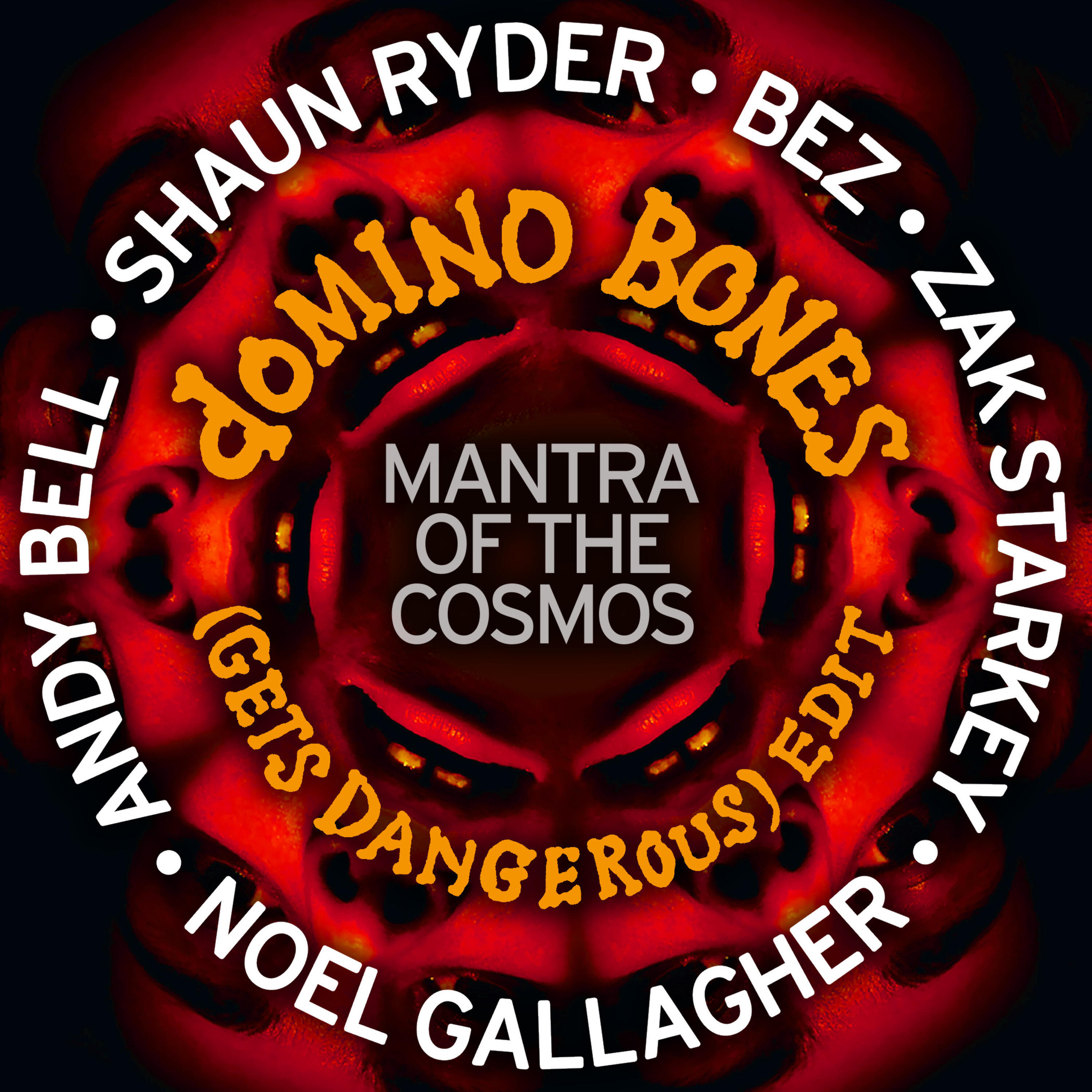 Mantra of the Cosmos