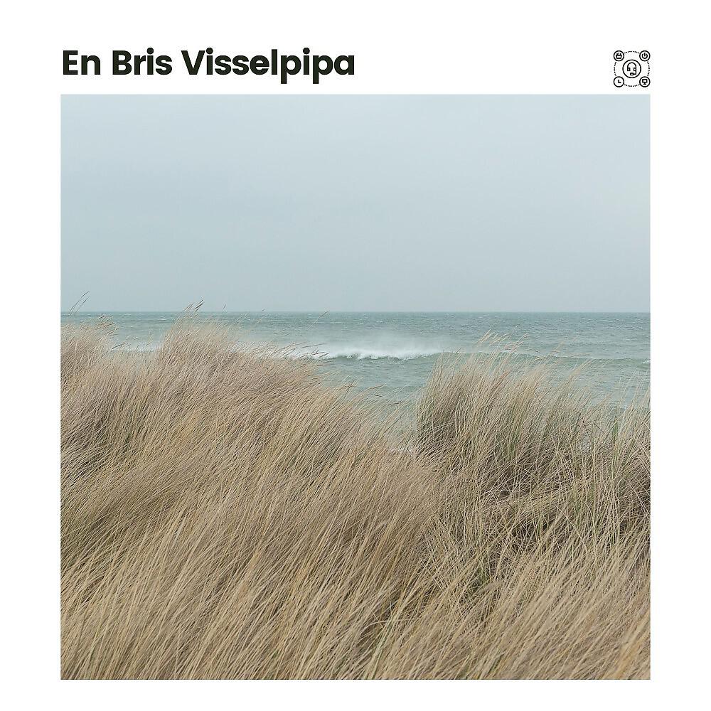 Релиз En Bris Visselpipa