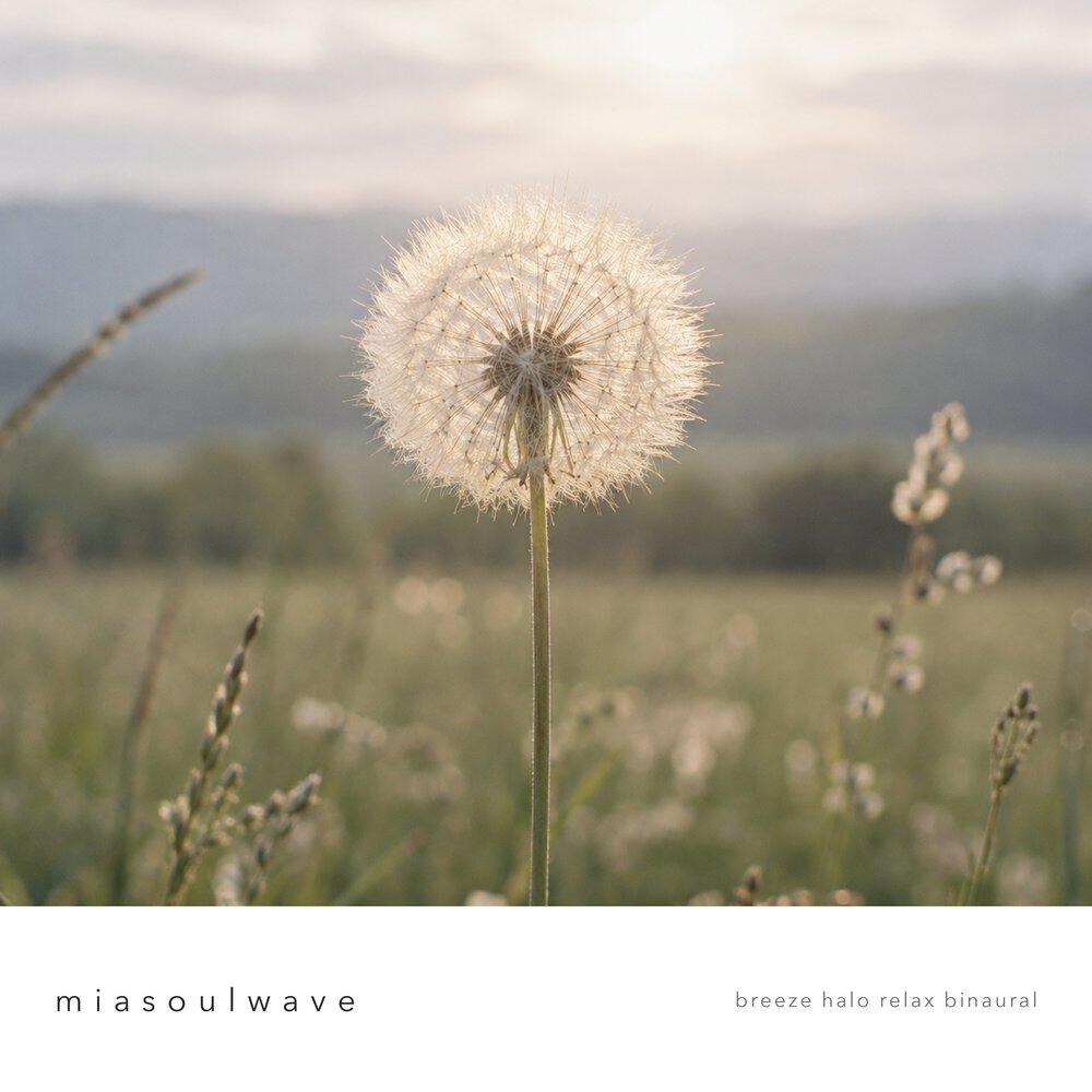 Релиз breeze halo relax binaural