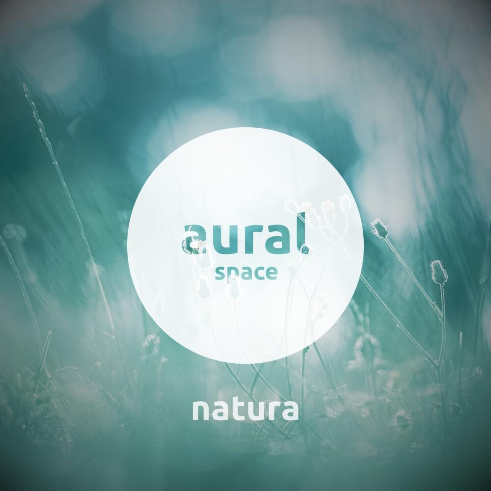 Aural Space