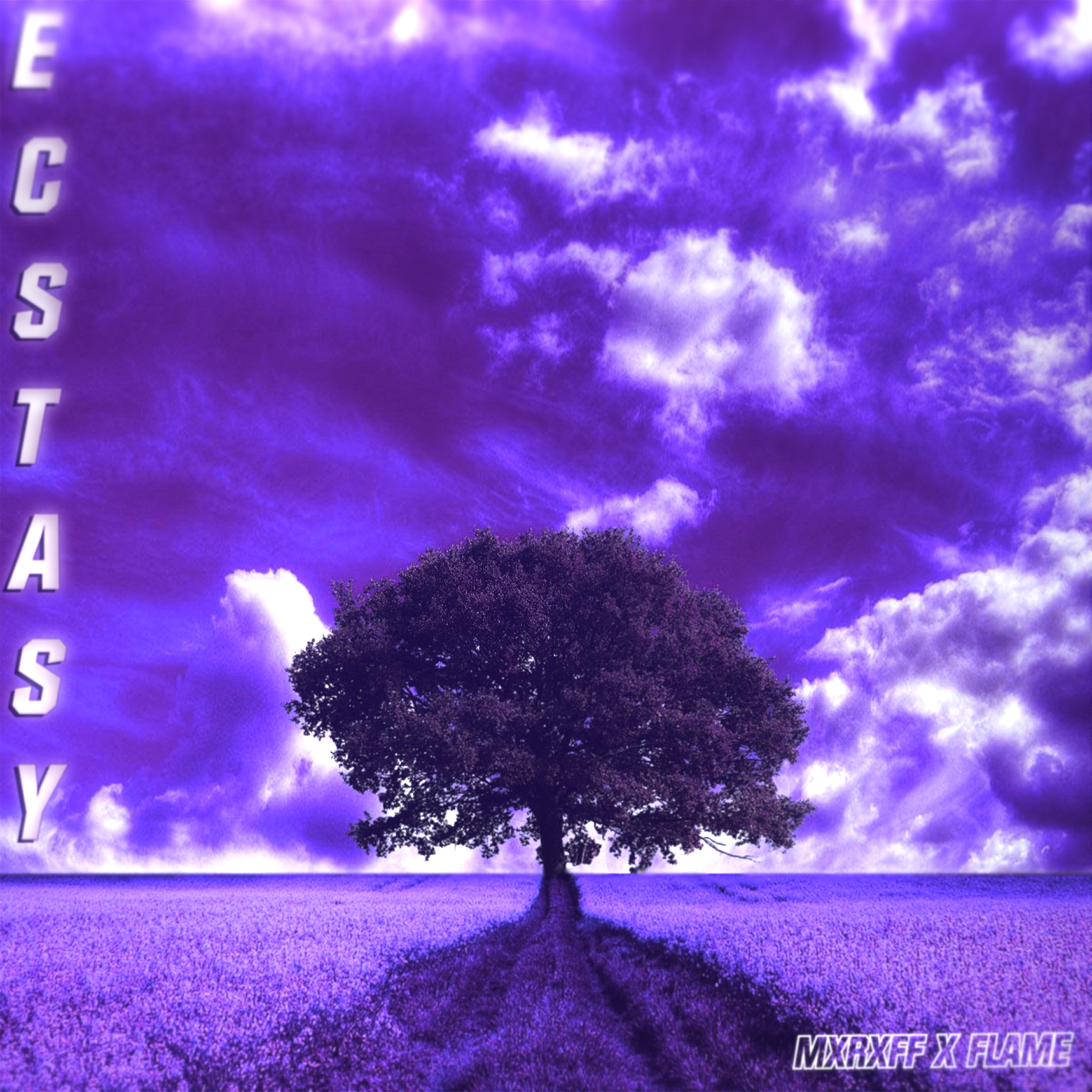Постер альбома Ecstasy
