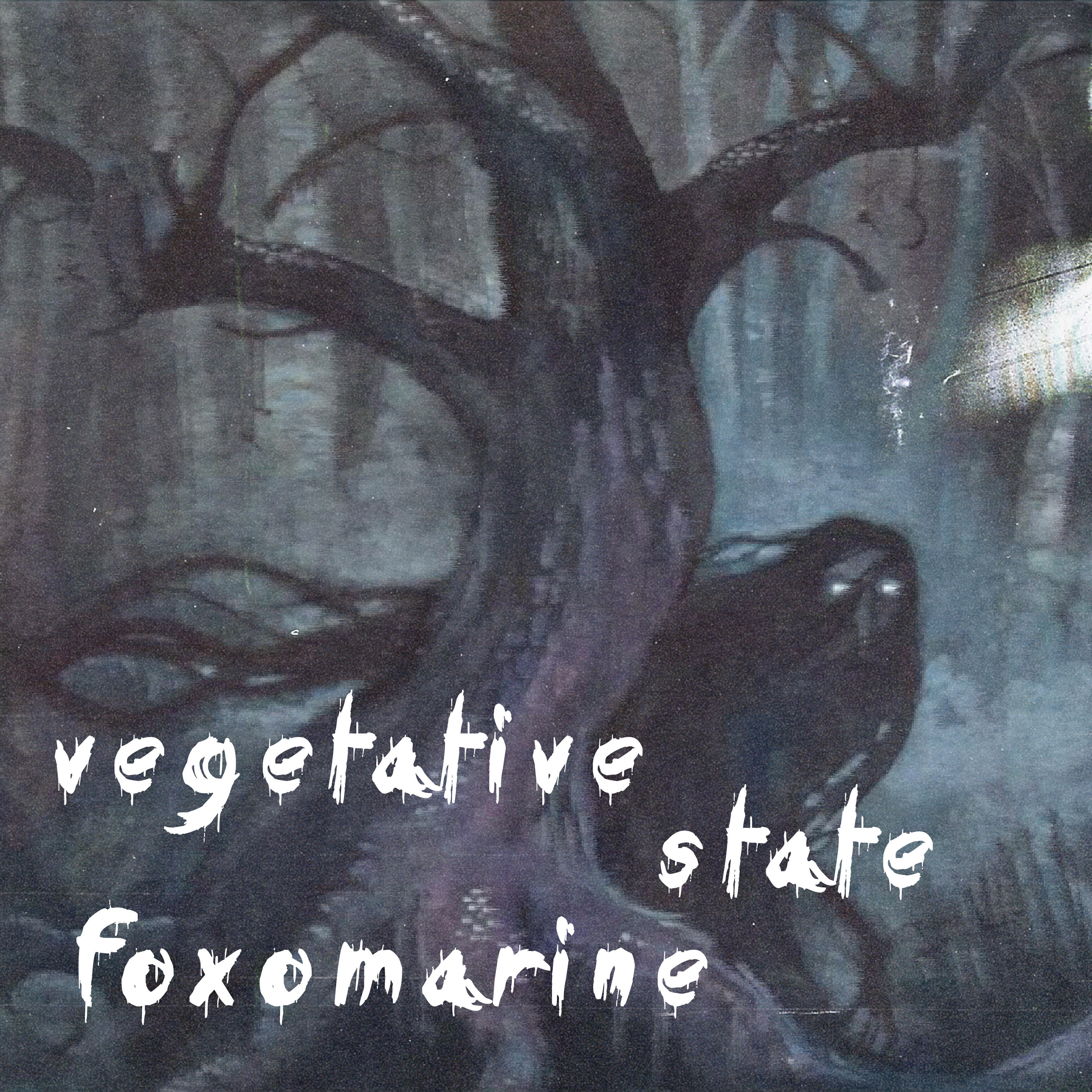 Релиз Vegatative State