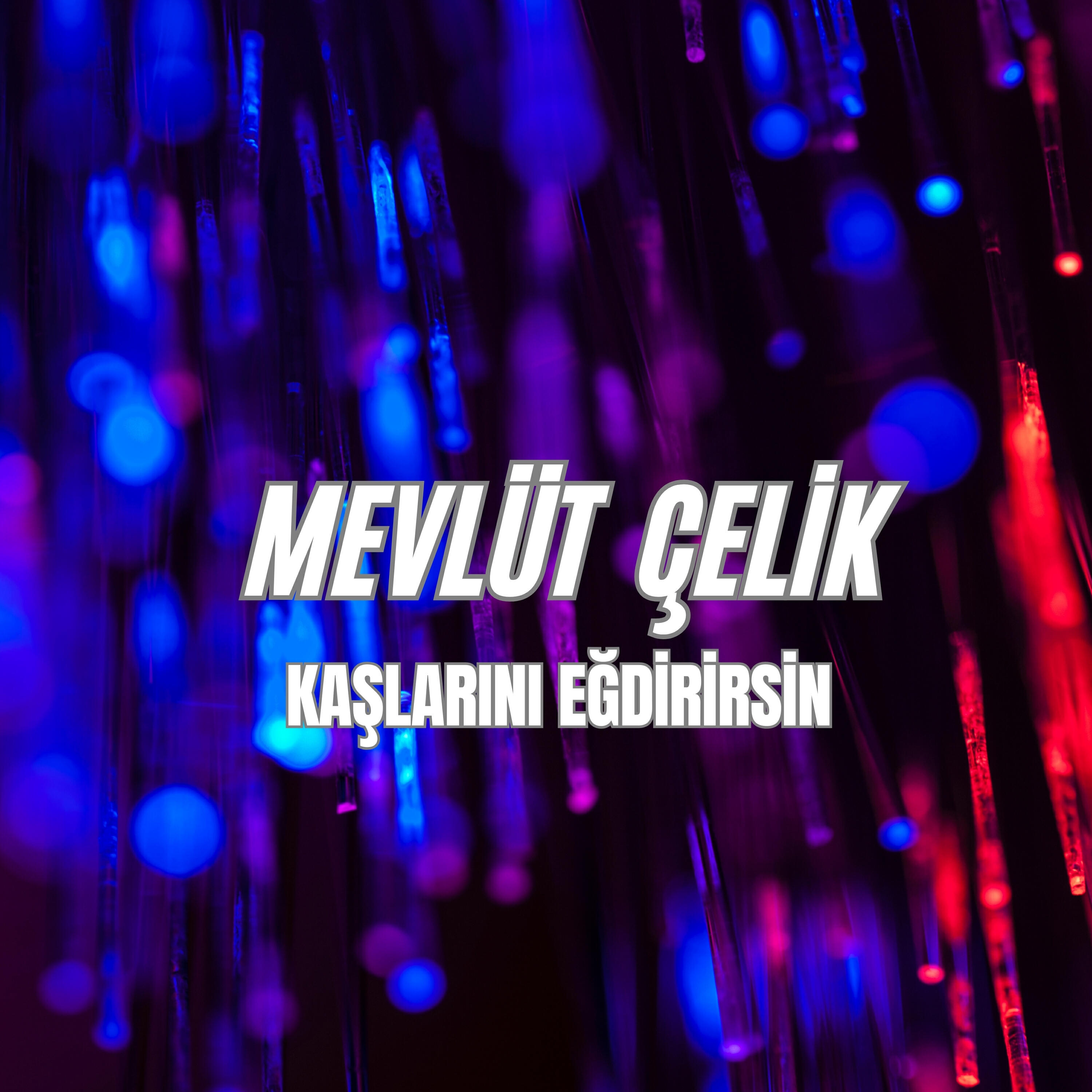 Mevlüt Çelik