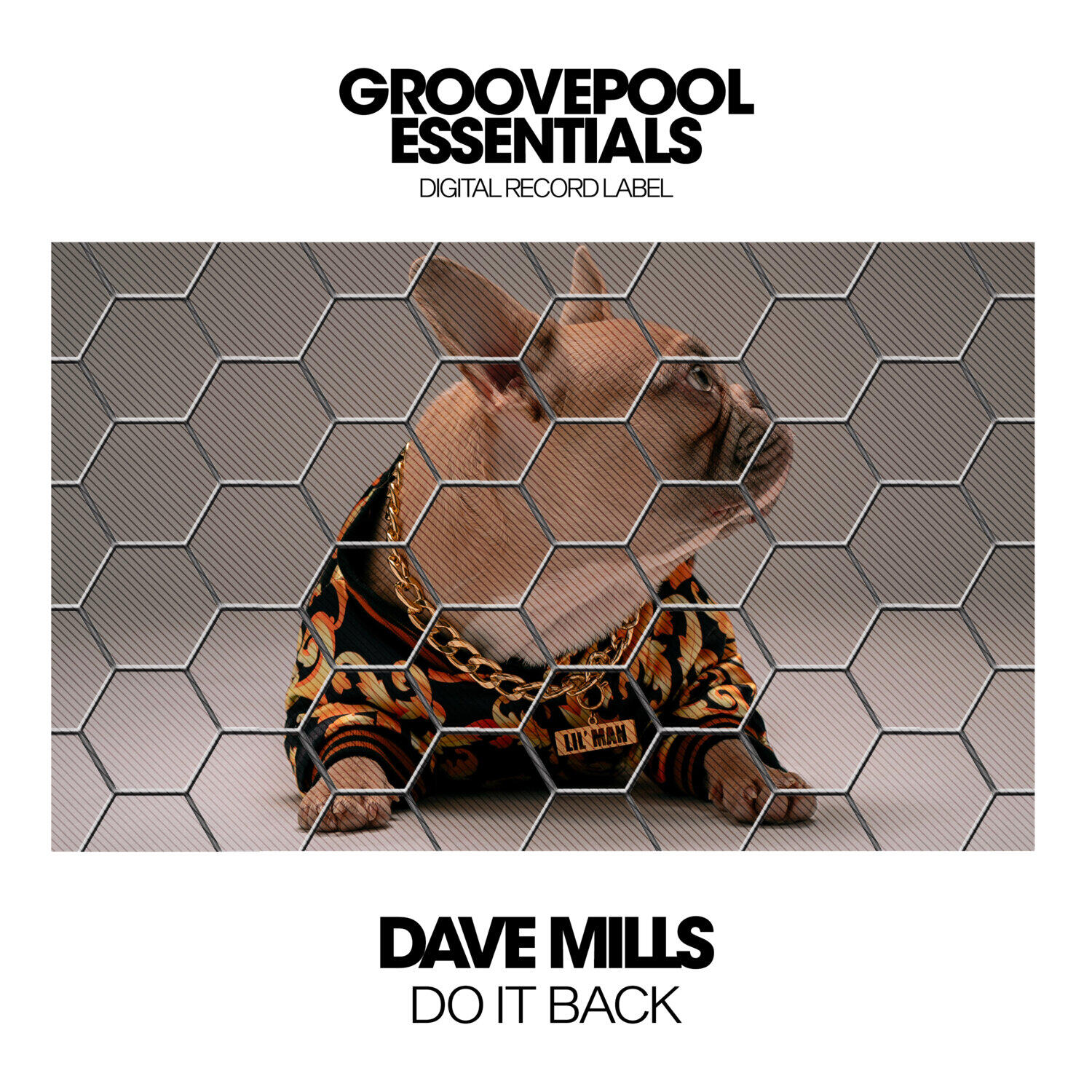 Релиз Do It Back