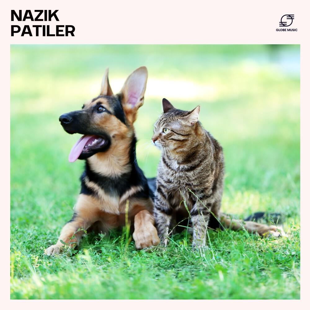 Релиз Nazik Patiler: Köpekler İçin Müzik