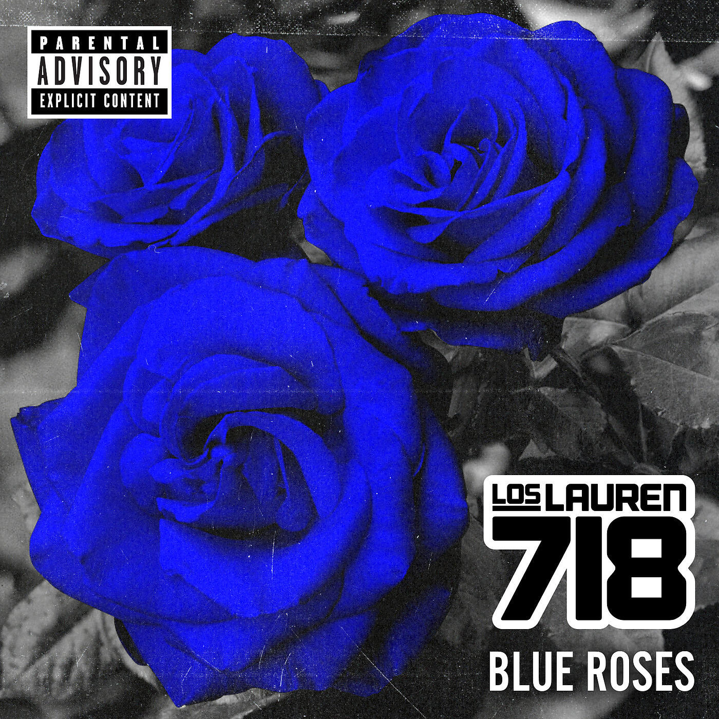 Релиз Blue Roses