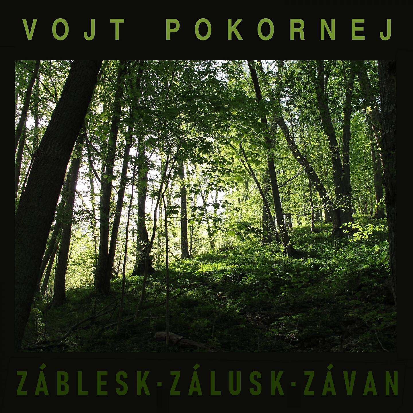 Постер альбома Záblesk, zálusk, závan