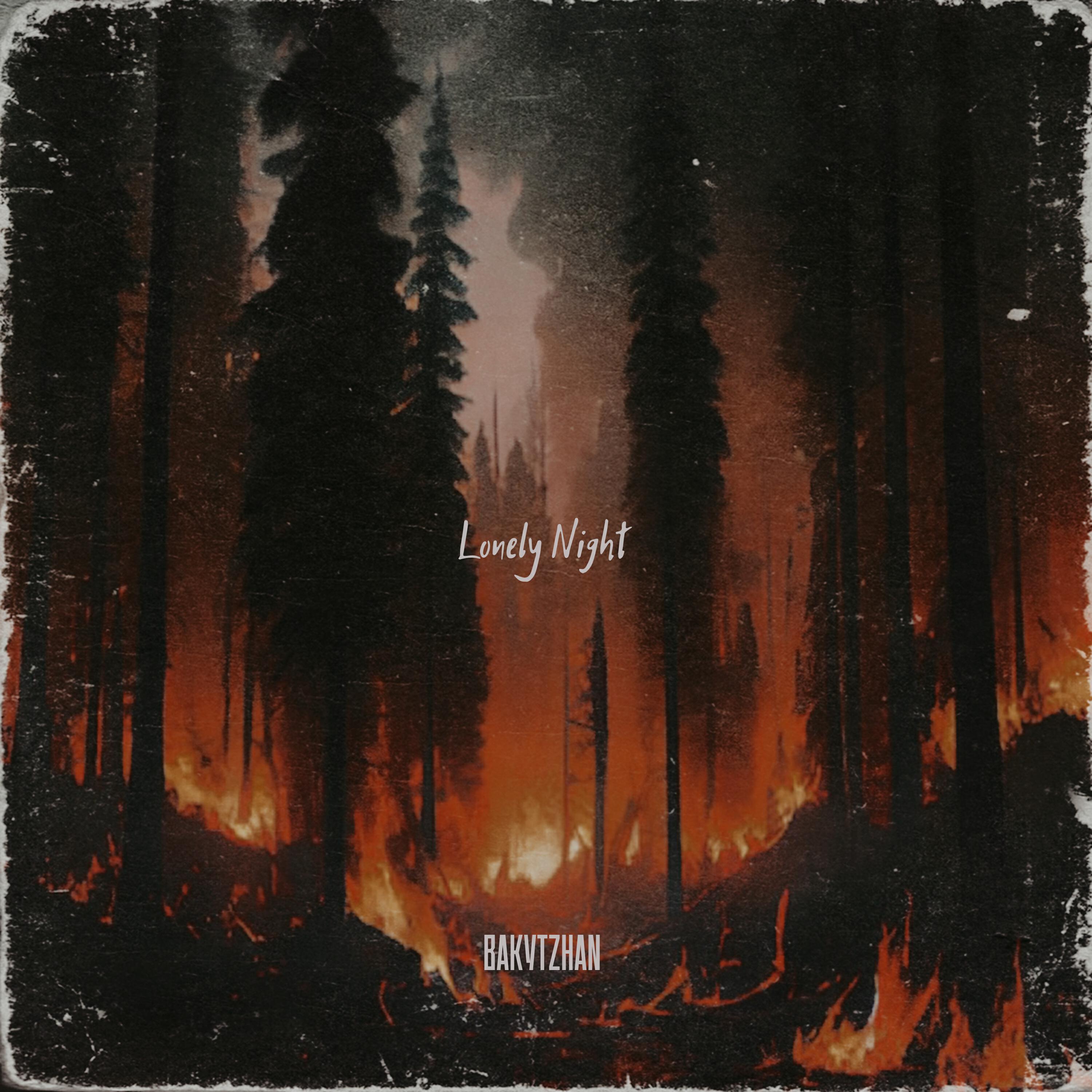 Релиз Lonely Night