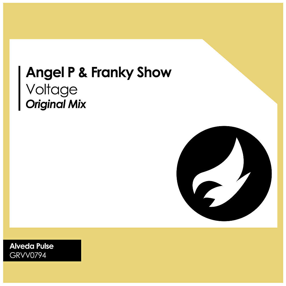 Angel P