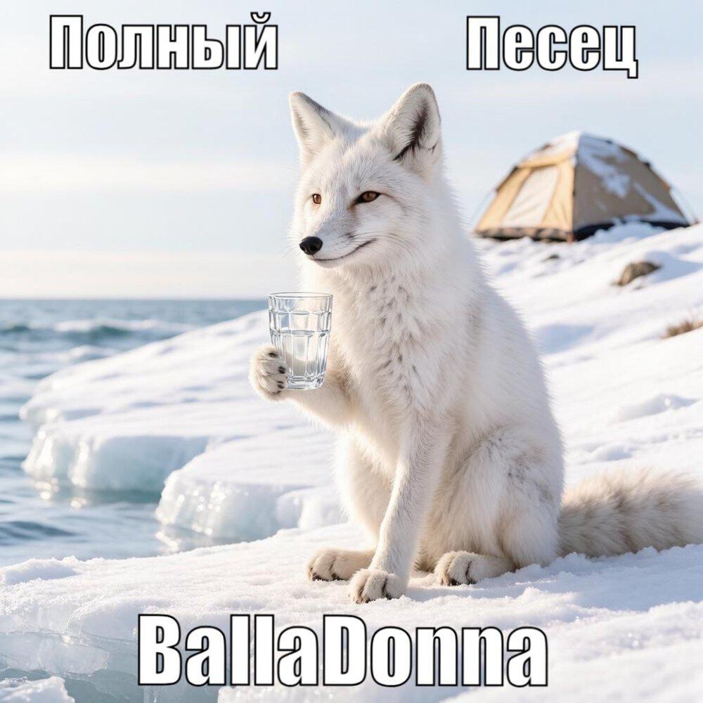 Релиз Полный Песец