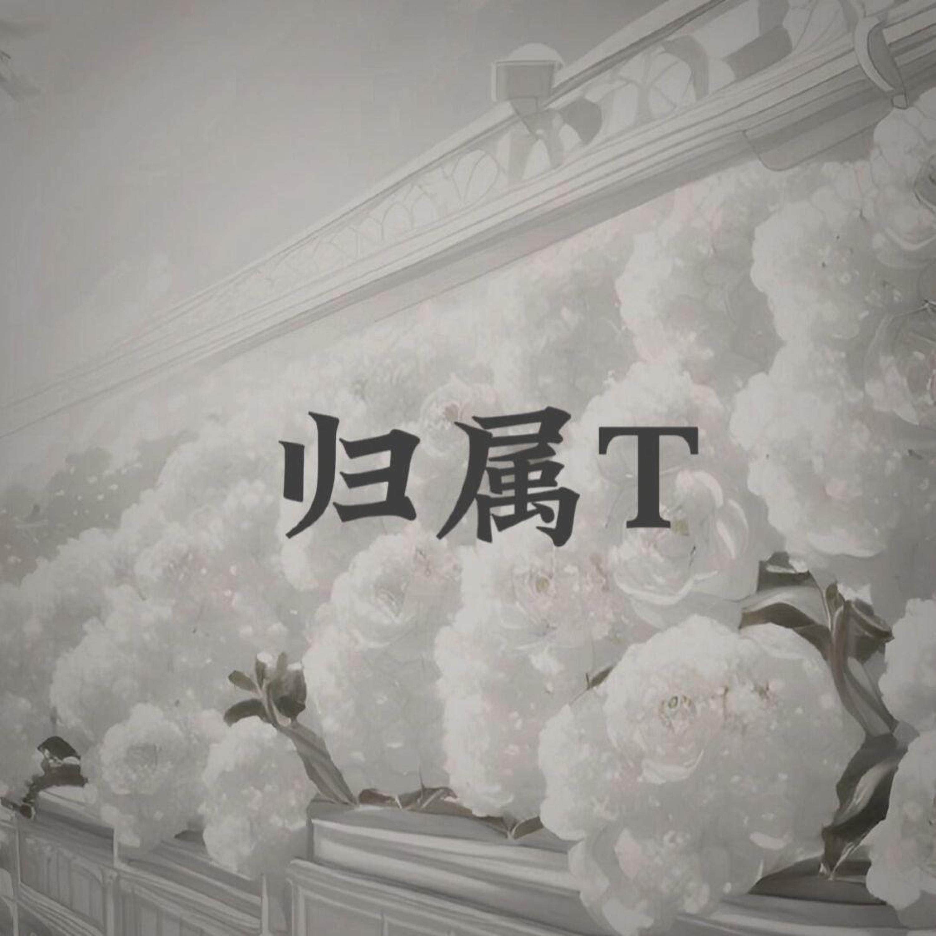 Релиз 归属t