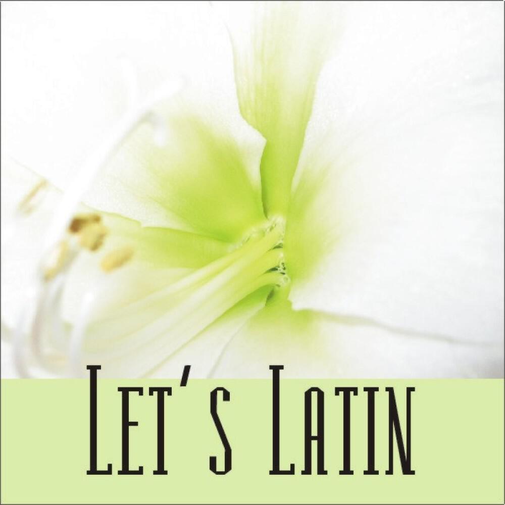 Релиз Let's Latin