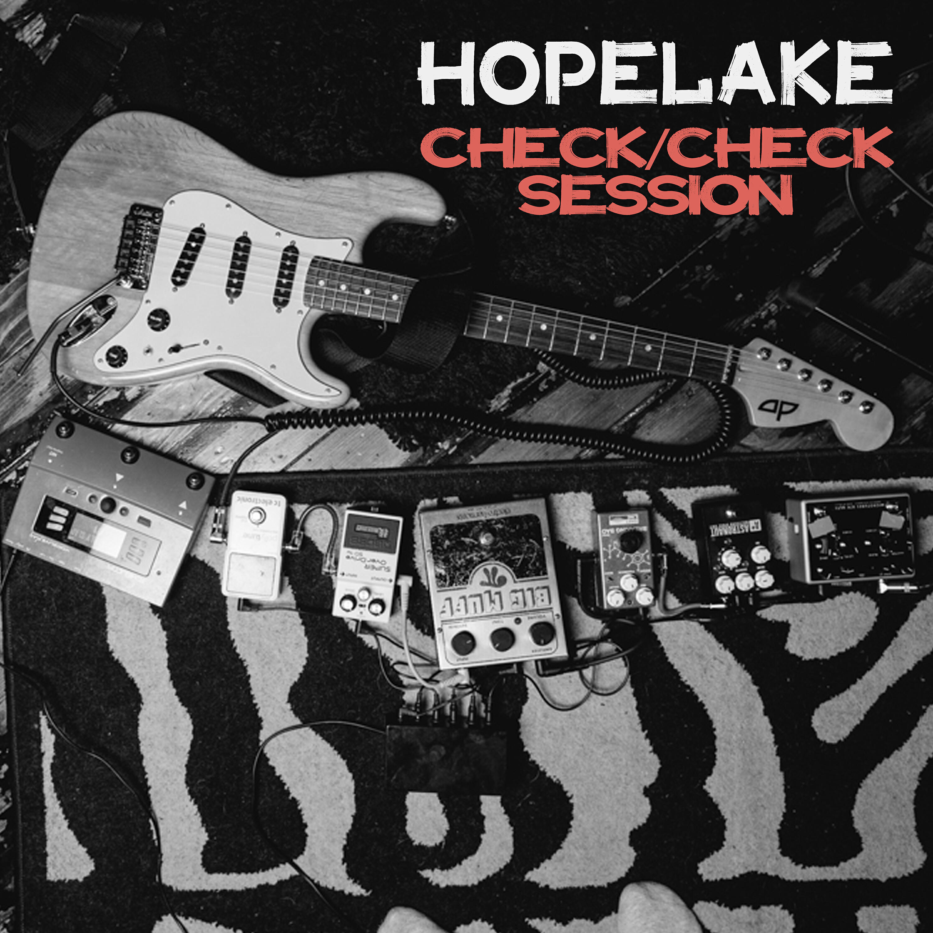 Релиз Сheck check session