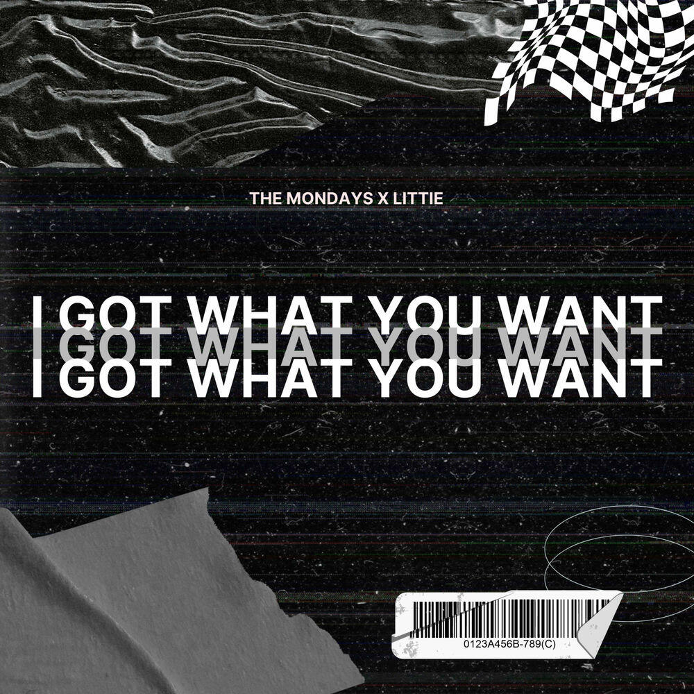 Релиз I Got What You Want