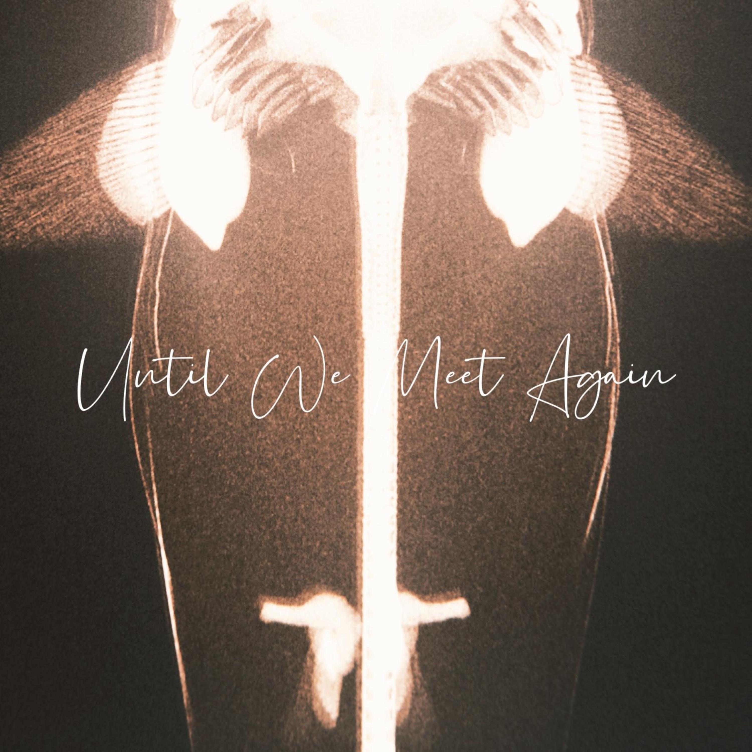 Релиз Until We Meet Again
