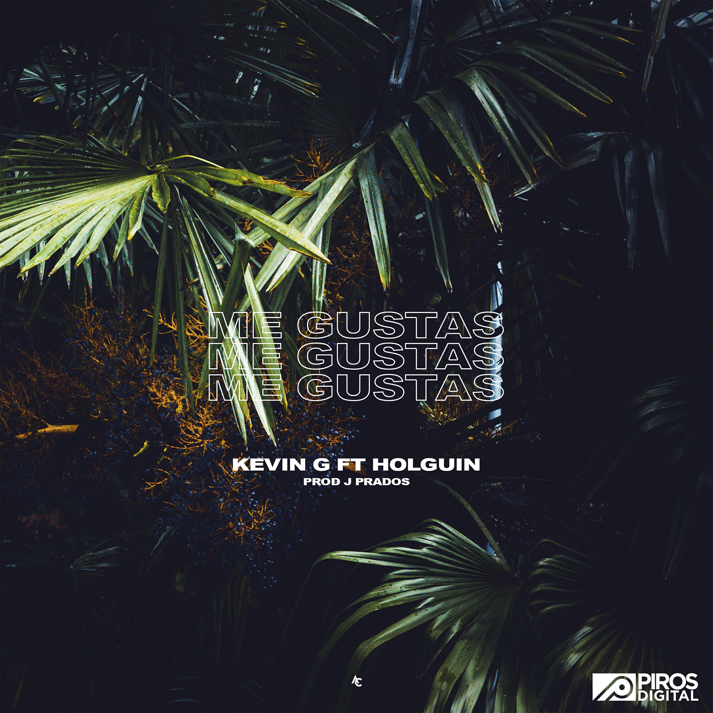 Holguin