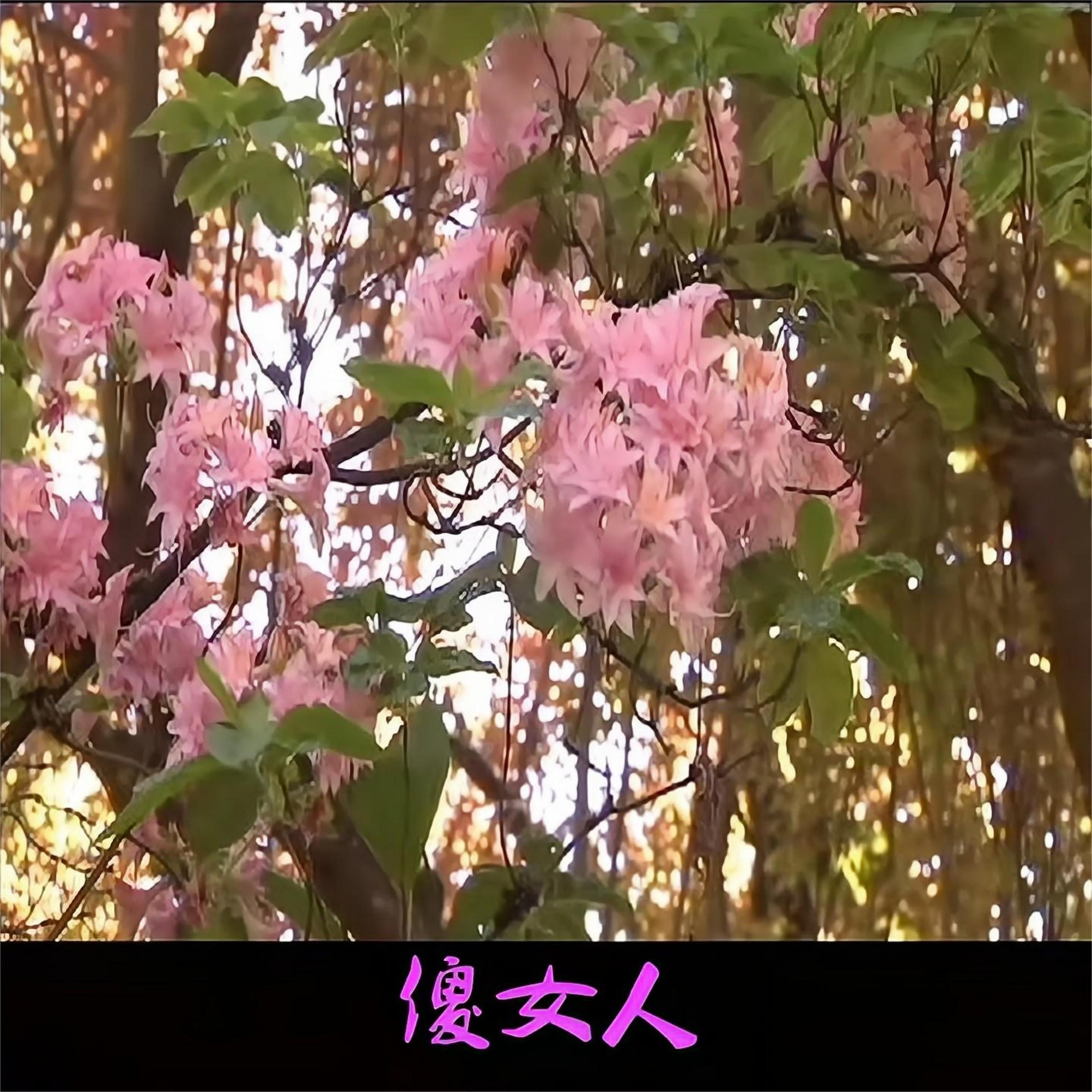 Релиз 傻女人