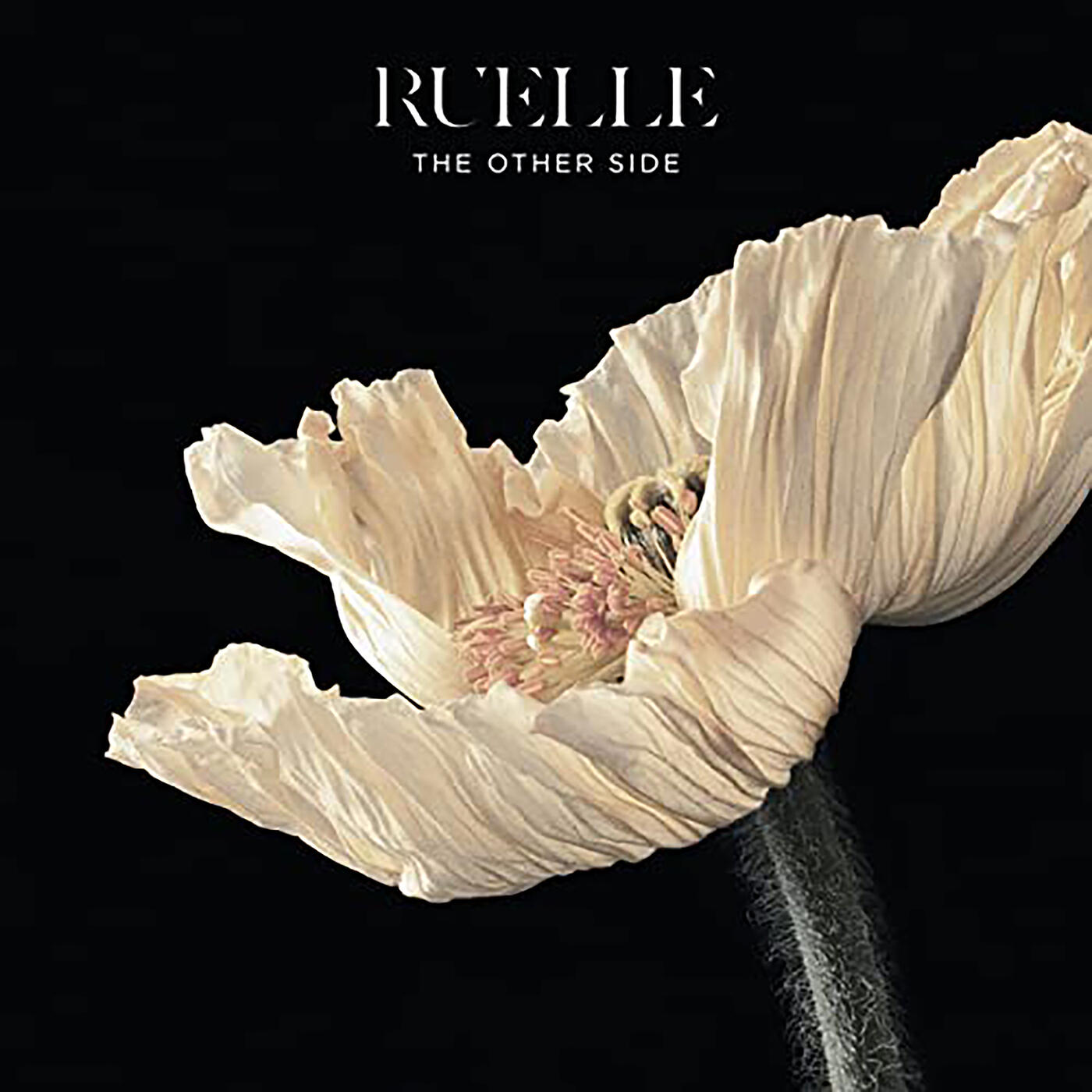 Релиз The Other Side