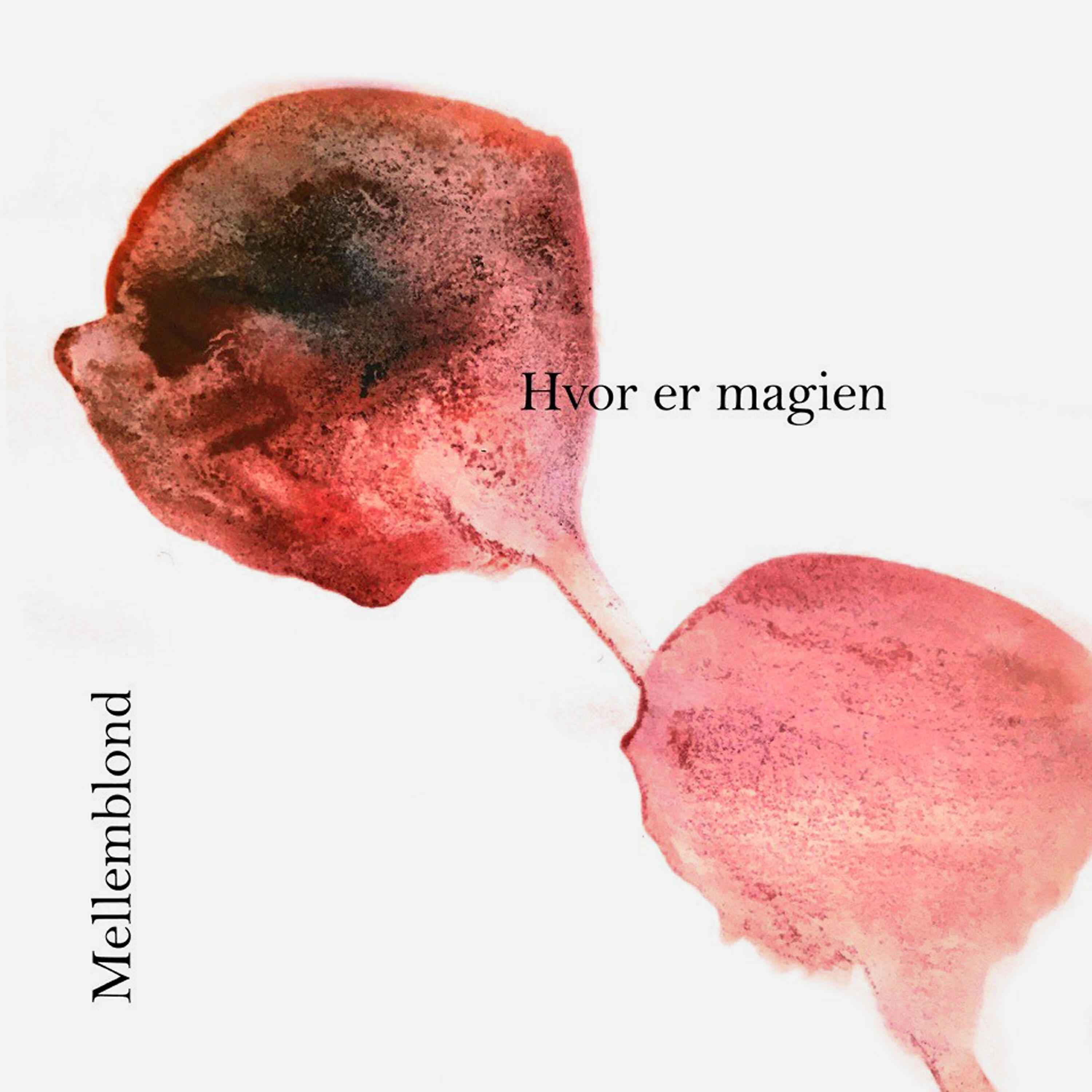 Релиз Hvor er magien