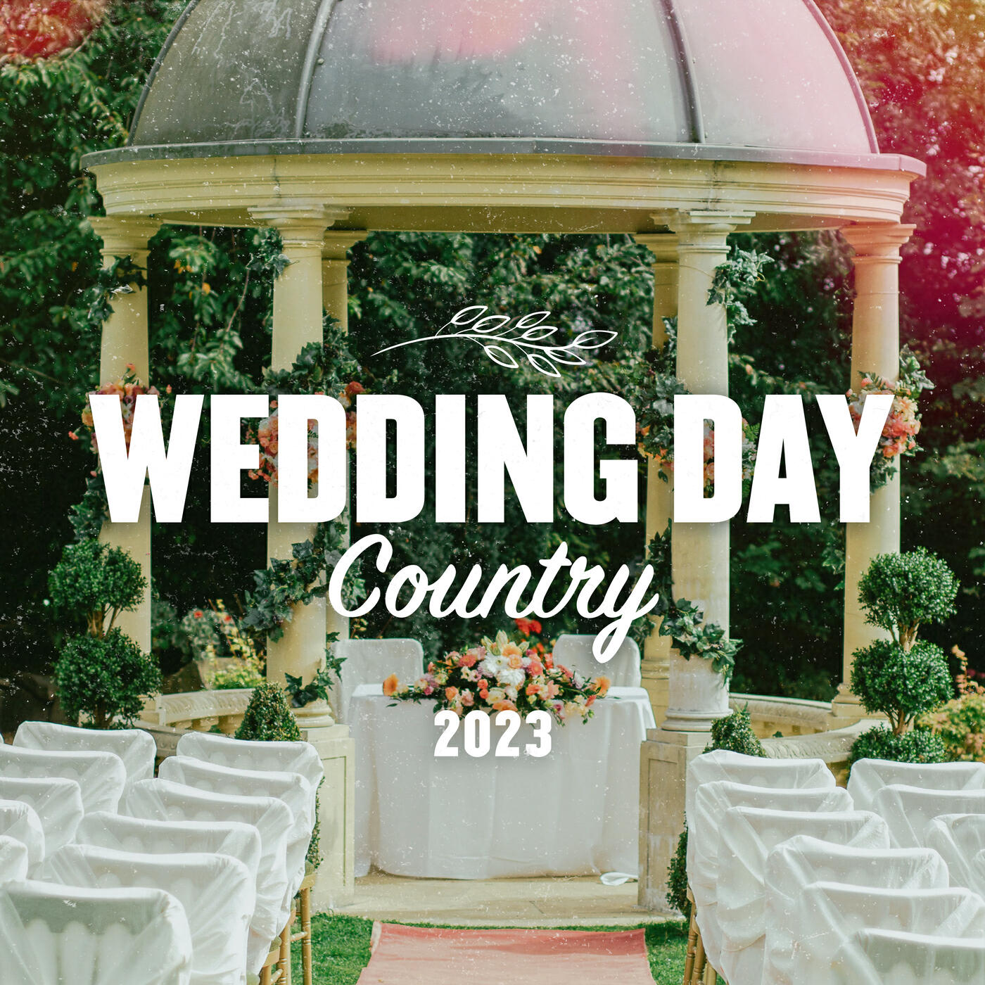 Релиз Wedding Day Country 2023