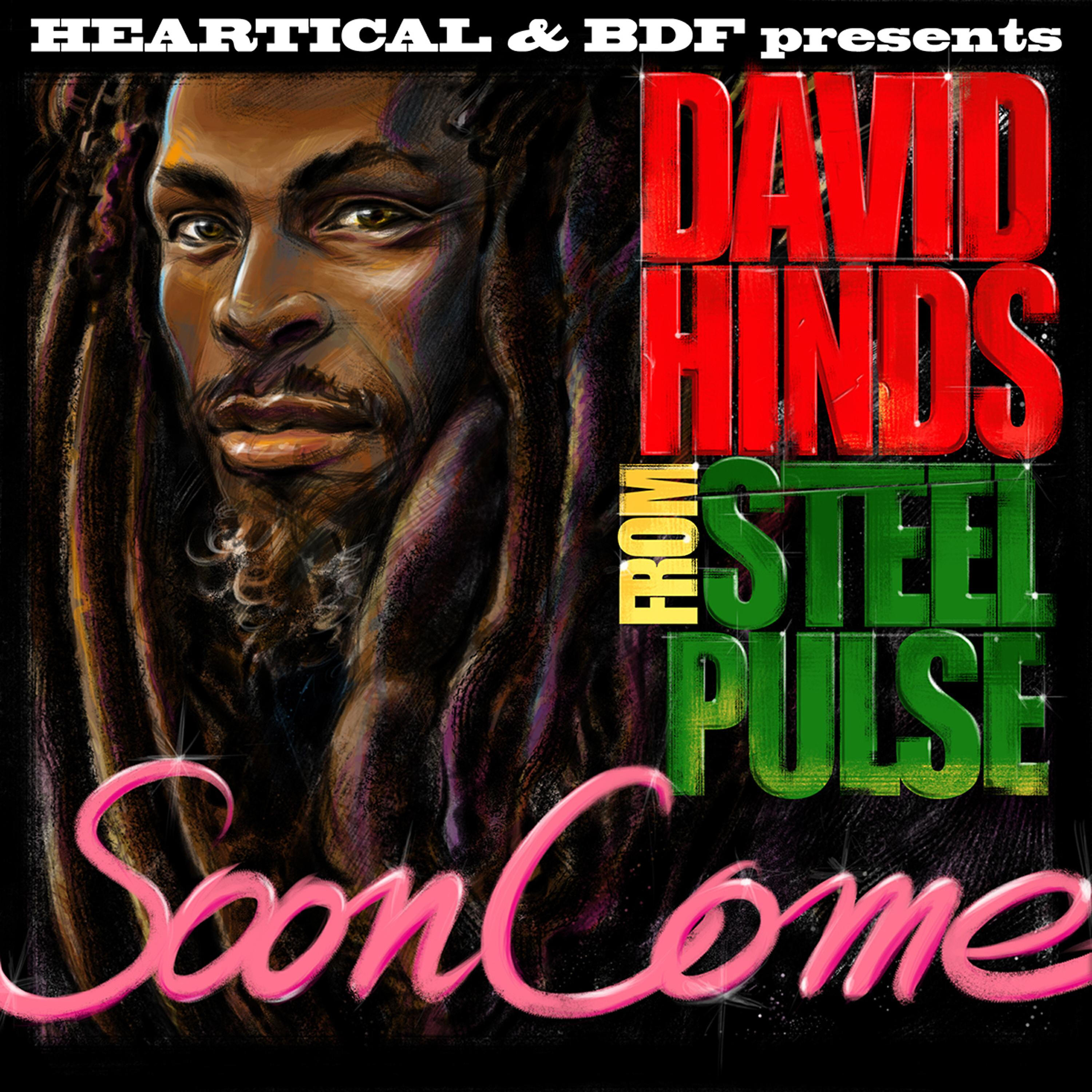 David Steel Pulse Hinds