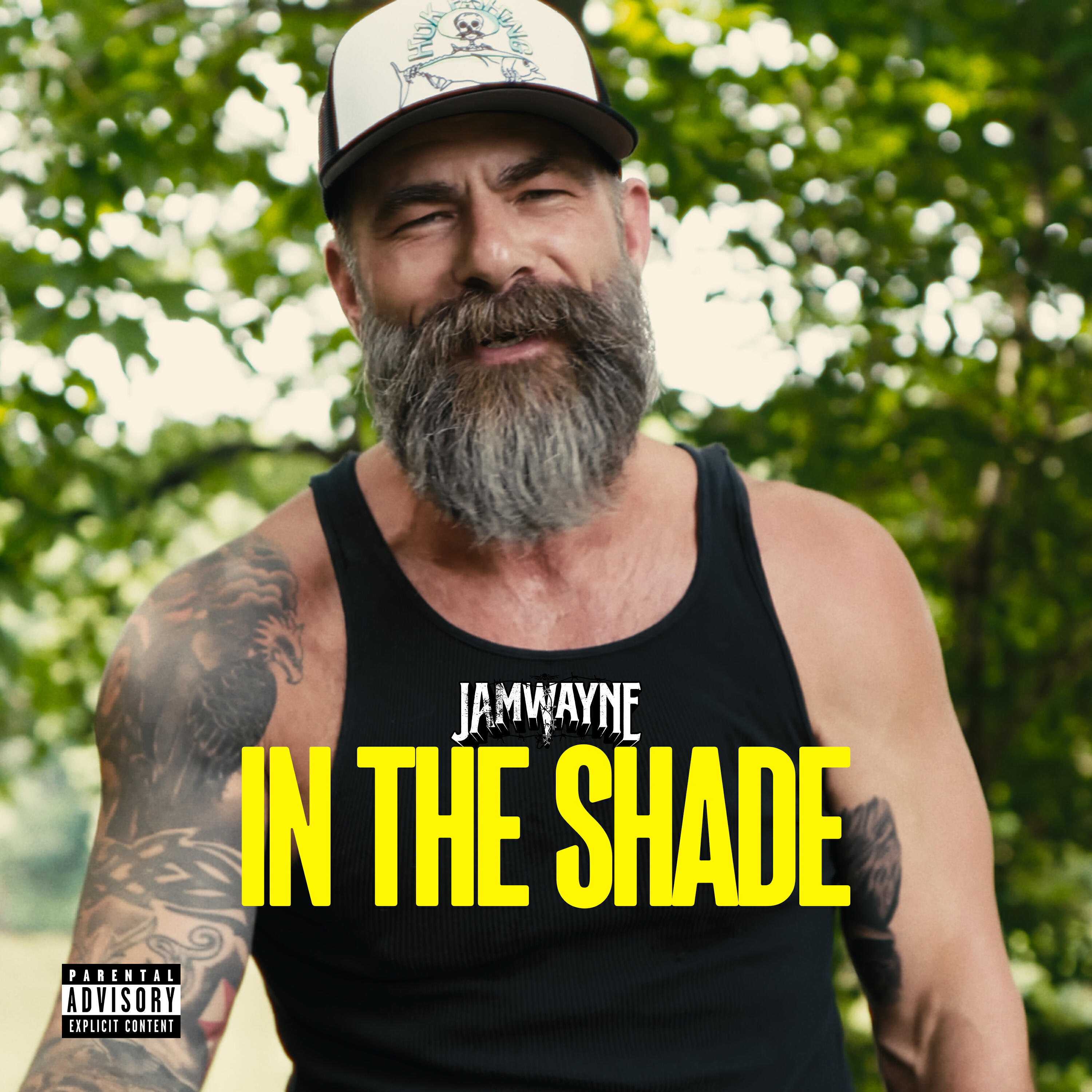 Релиз In The Shade