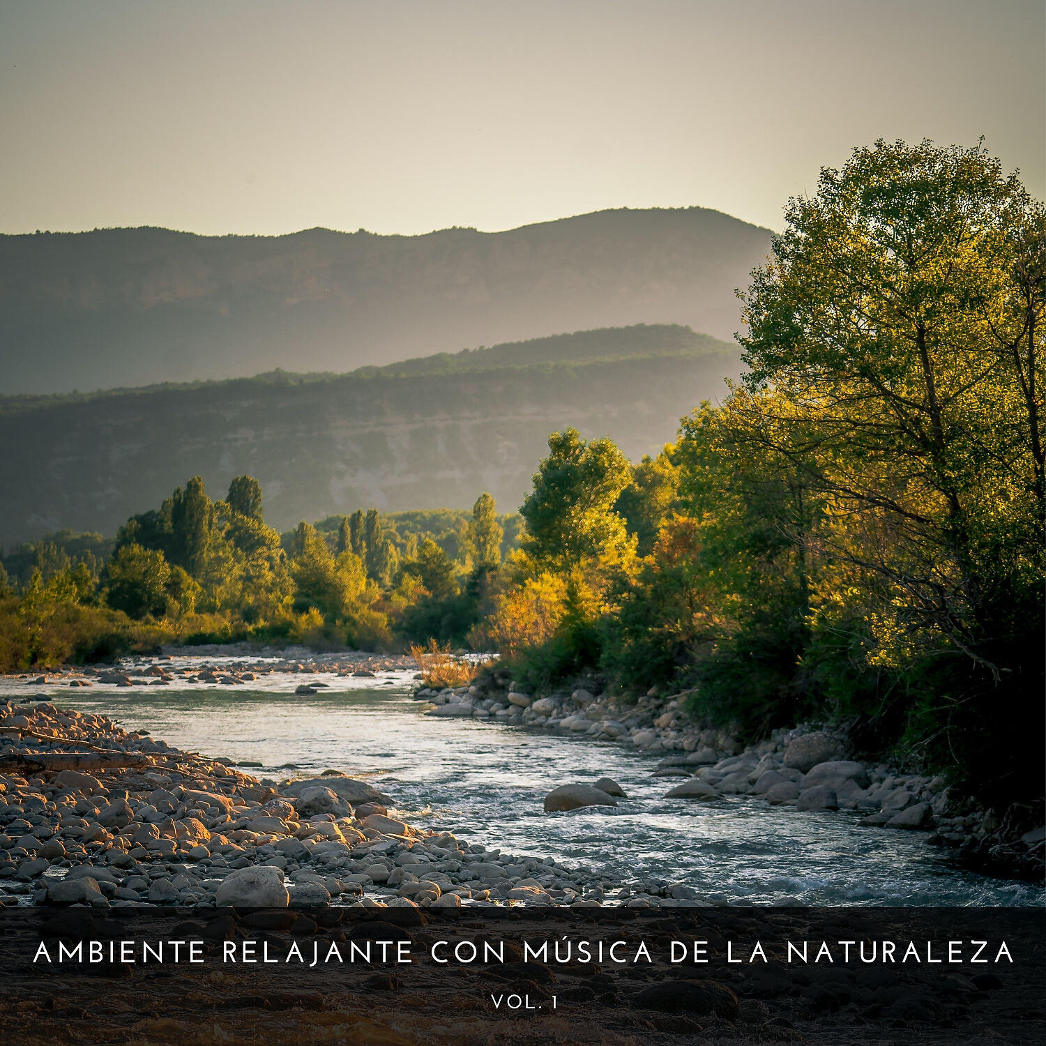 Reiki Armonia & Academia de Música con Sonidos de la Naturaleza & Música relajante con sonidos de la naturaleza - Río De Inundación