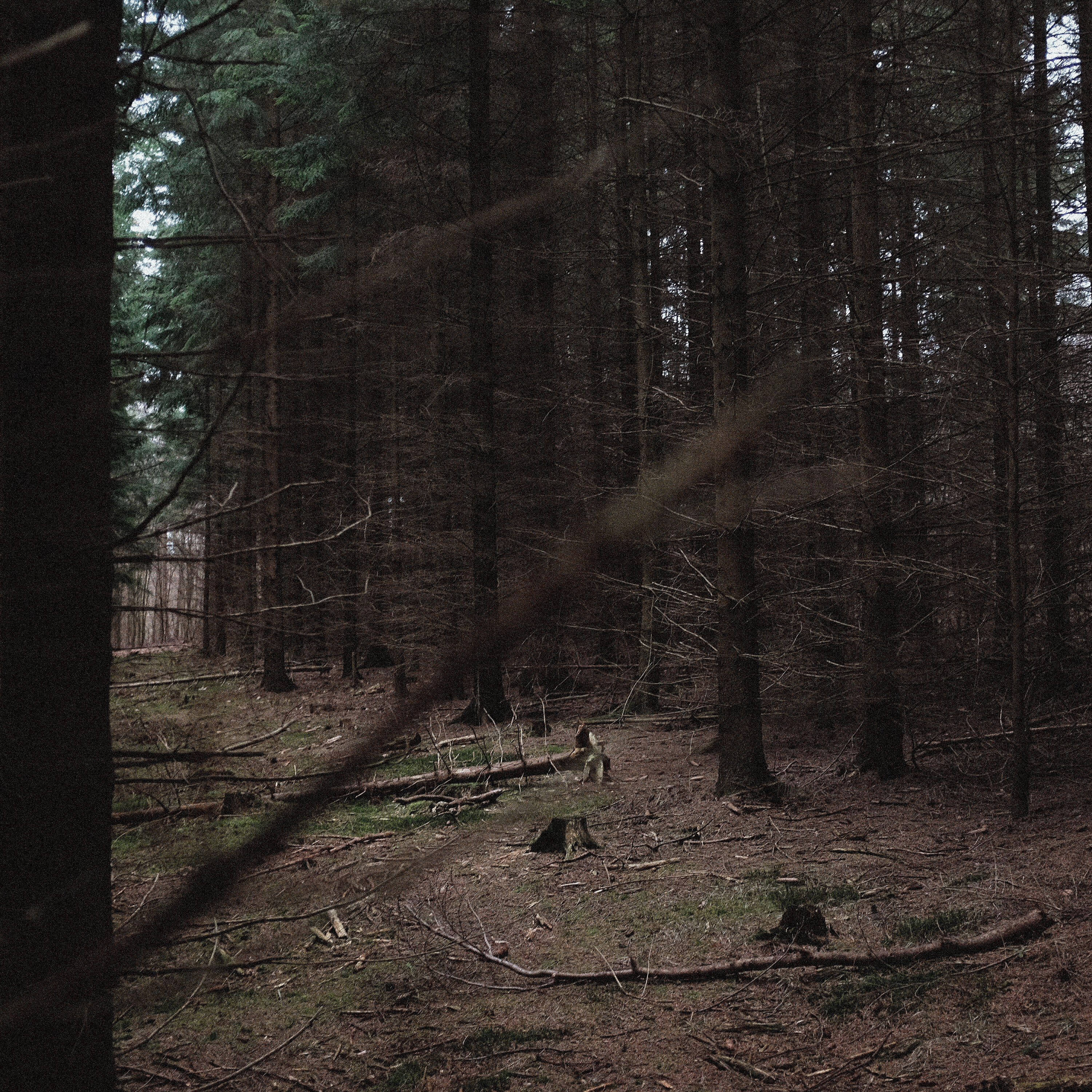 Релиз False Sunset