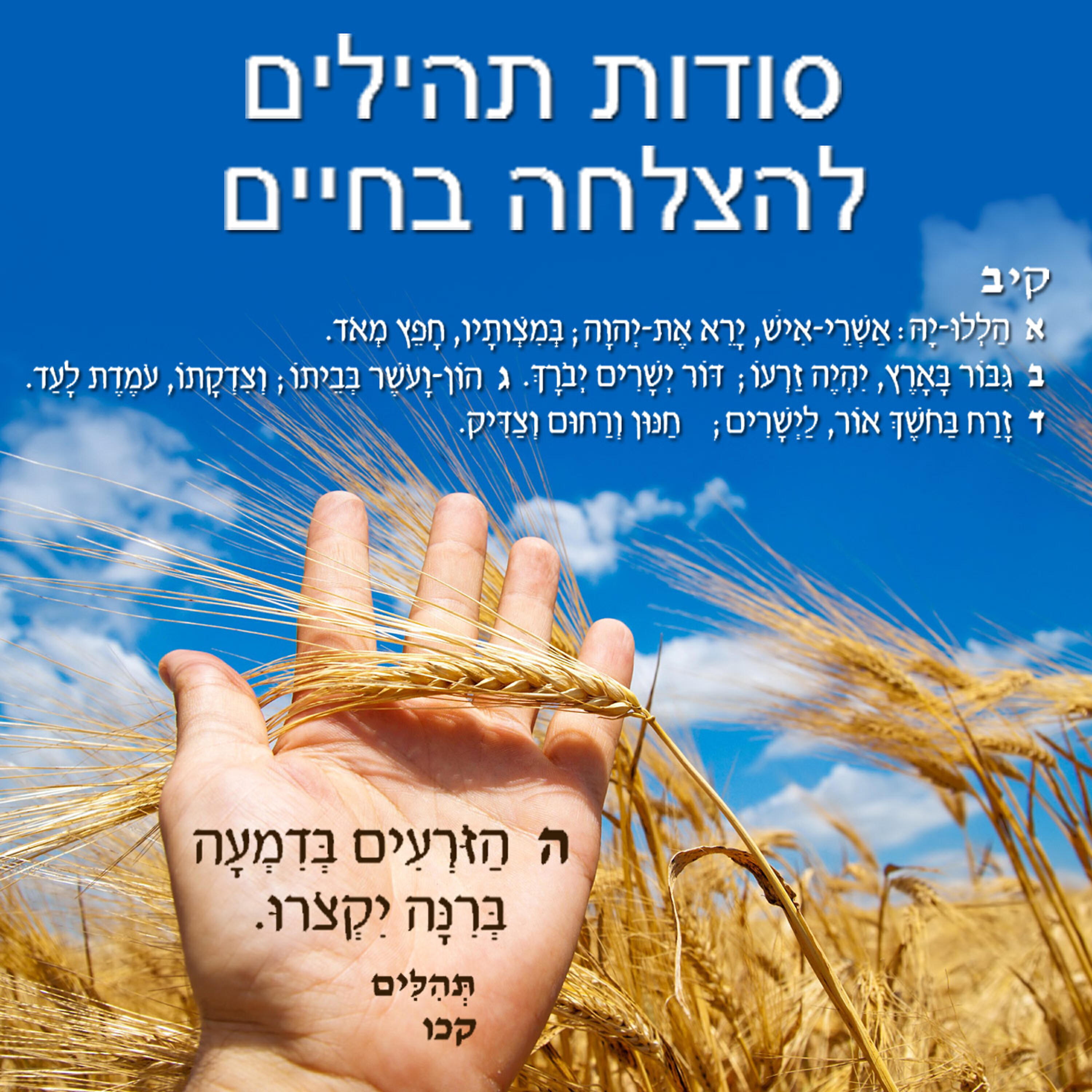 Релиз סודות תהילים להצלחה בחיים