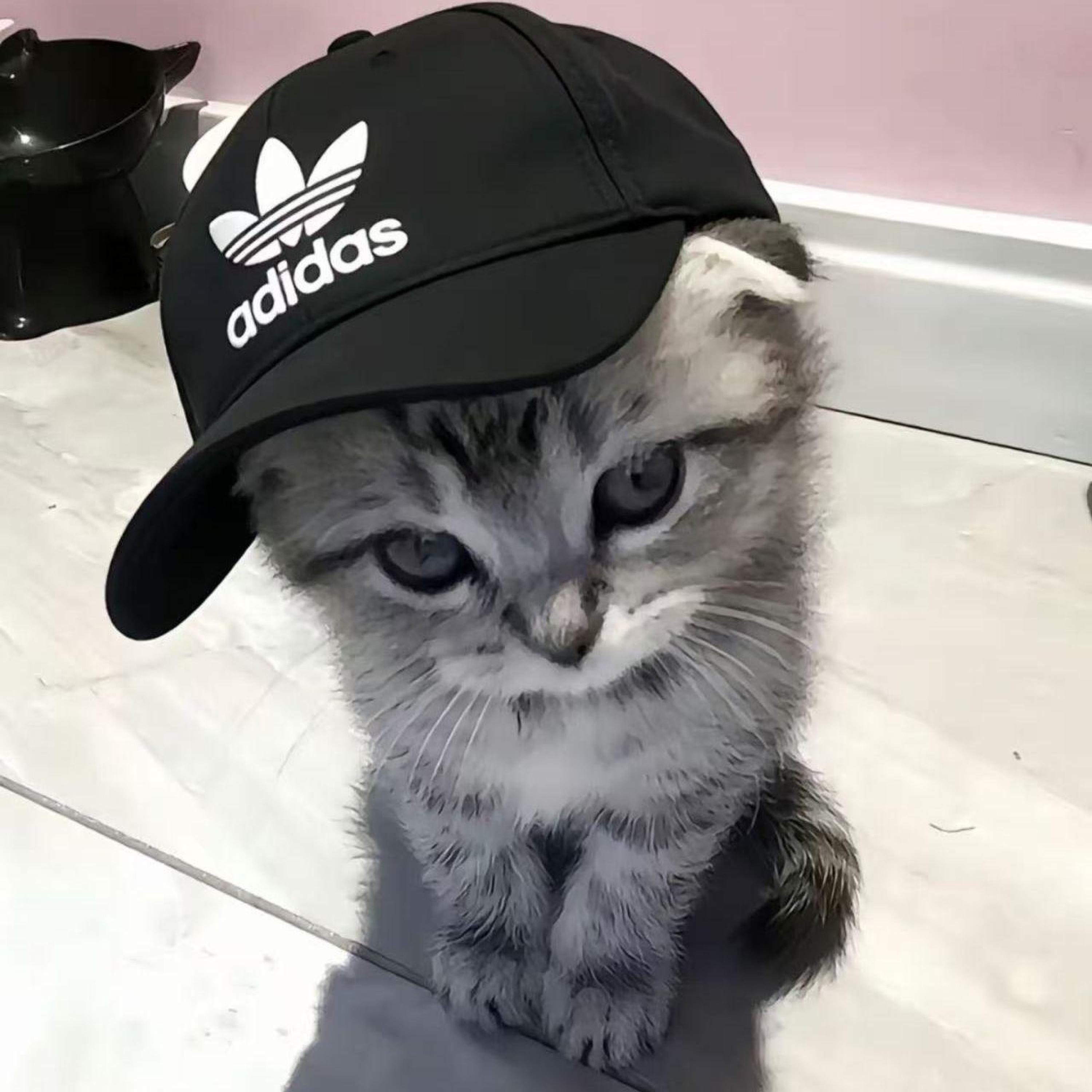 Релиз 我们和好好不好