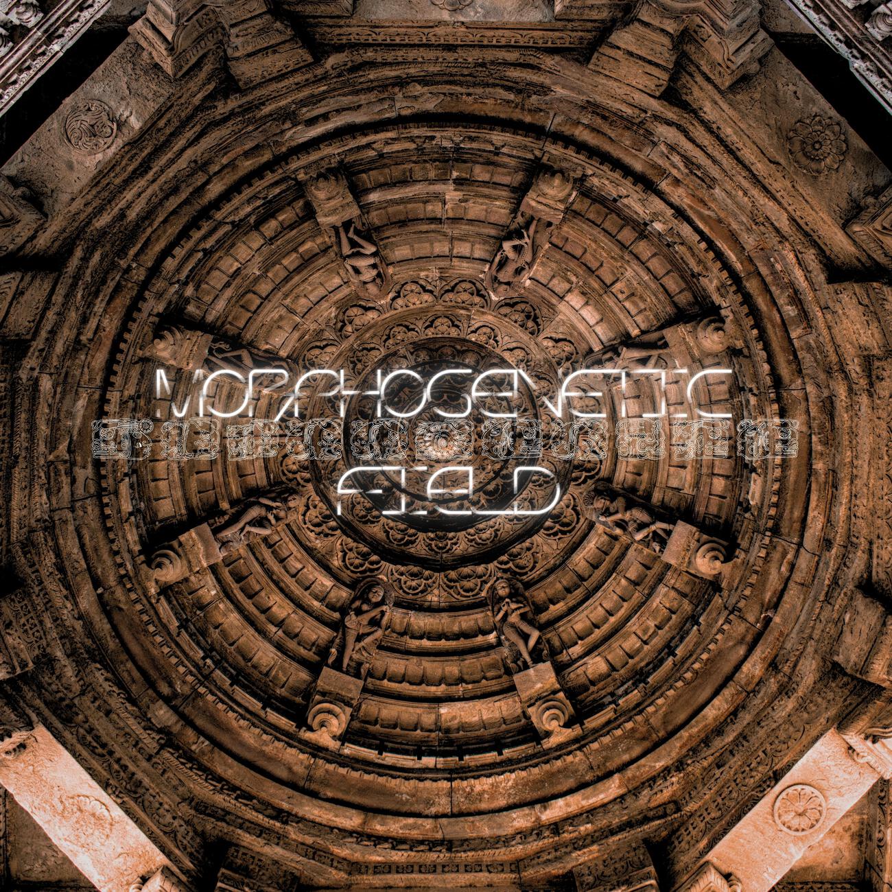 Релиз Morphogenetic Field